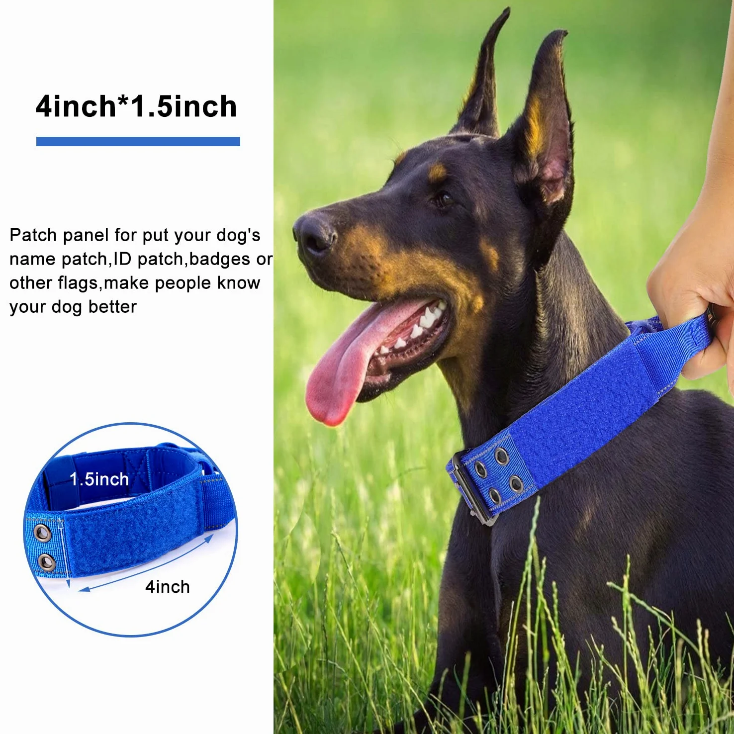 Collar reflectante para perro, collar táctico resistente con mango de control y hebilla de metal para entrenamiento de perros (M,azul)