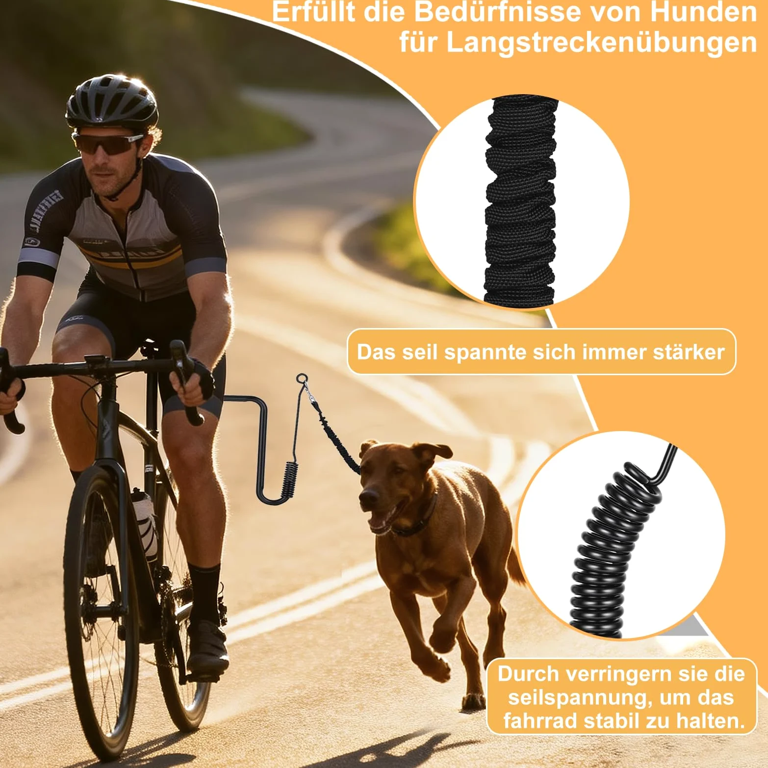 Correa para perro para ciclismo con diseño reflectante y cuerda elástica que absorbe los golpes