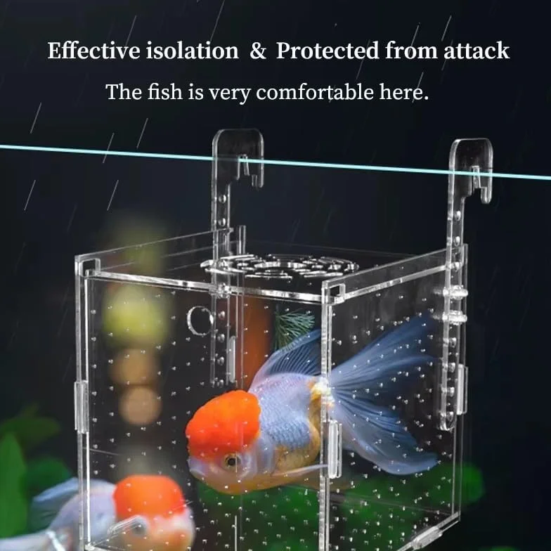 Caja de cría de peces de acrílico transparente para aislamiento y desove de acuarios con diseño flotante y soporte de ventosa 10 x 10 x 10 cm (12 x 12 x 12 cm)
