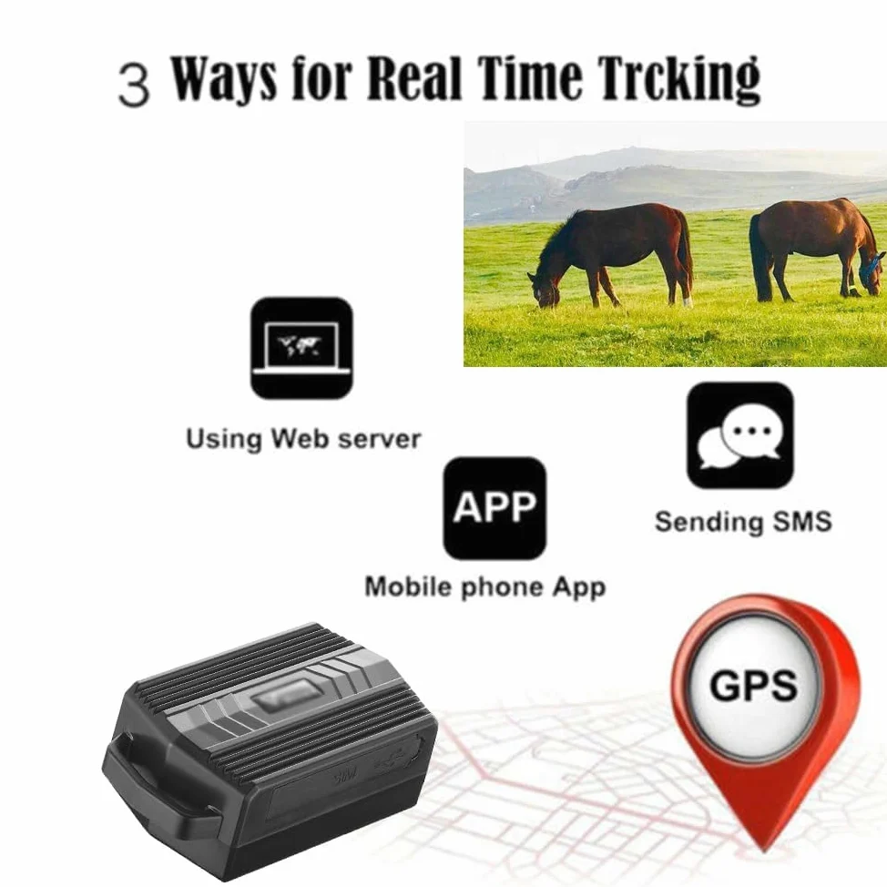 Rastreador GPS para animales, localización en tiempo real y monitoreo de velocidad, alertas móviles de sobrevelocidad para la seguridad del ganado