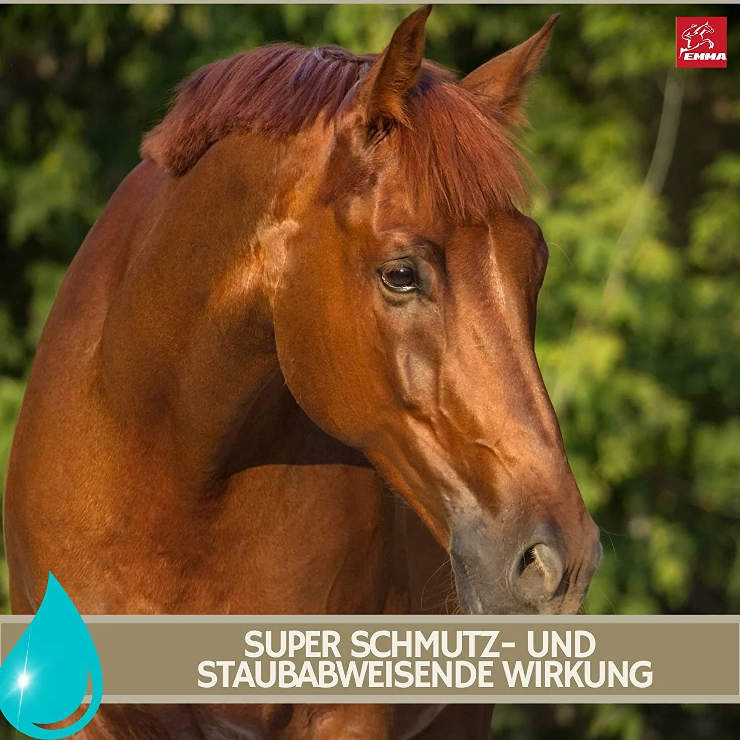 Spray de Purpurina - Spray de Crin para Caballos I Grasa para Cascos con Purpurina I Golosinas para Caballos Champú para Caballos Juego de 4 pz Spray de Cola Golosinas para Caballos 400gr 500ml 250ml