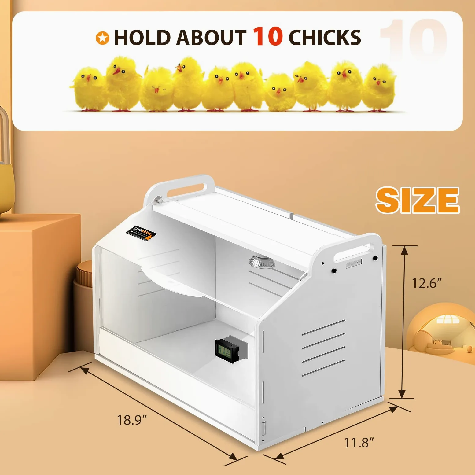 Caja de cría de Pollitos para Pollitos, incubadora de codornices con lámpara de calefacción, termómetros de 2 Modos, calienta hasta 10 Pollitos para Patito, Loro y Lagarto