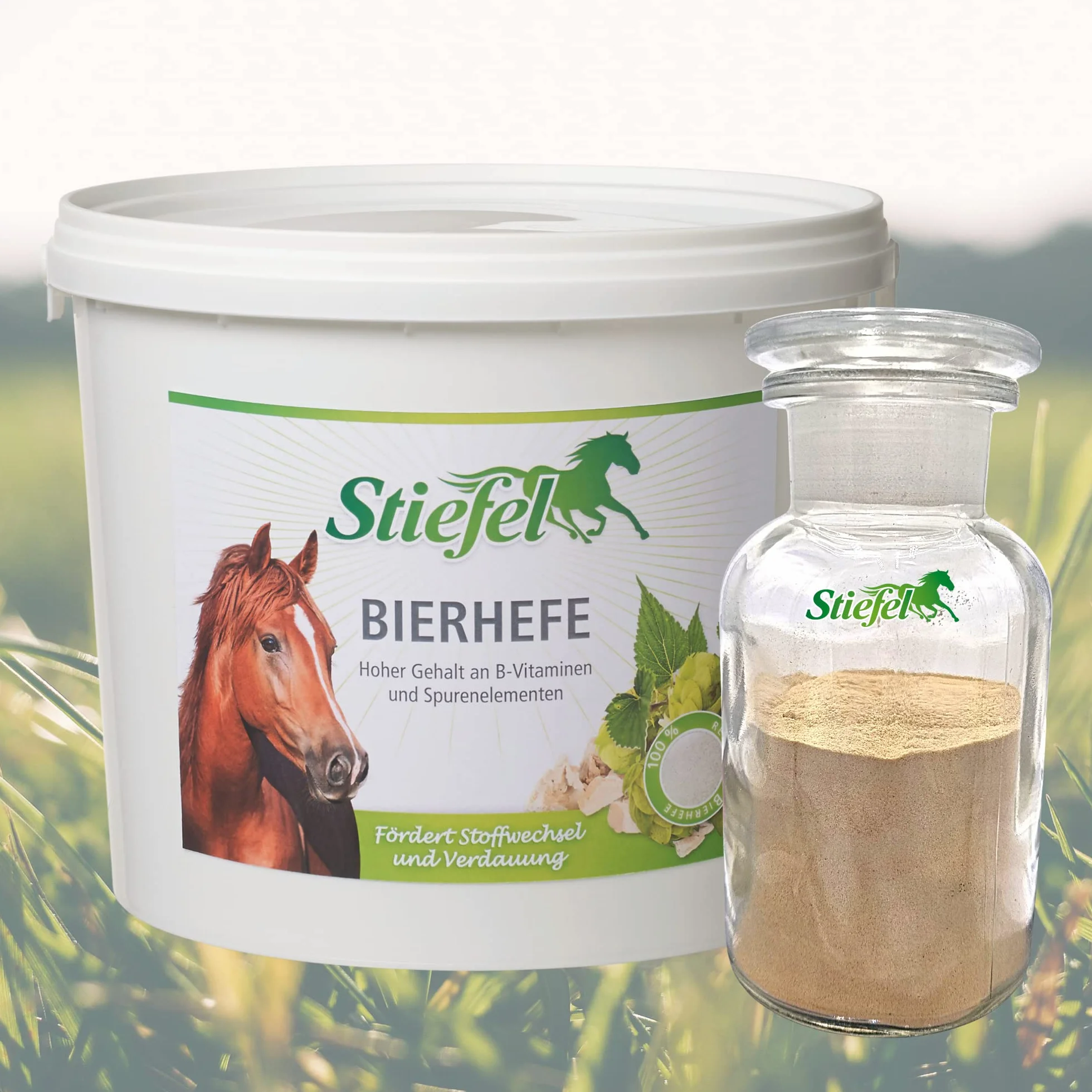 Stiefel levadura 3Kg