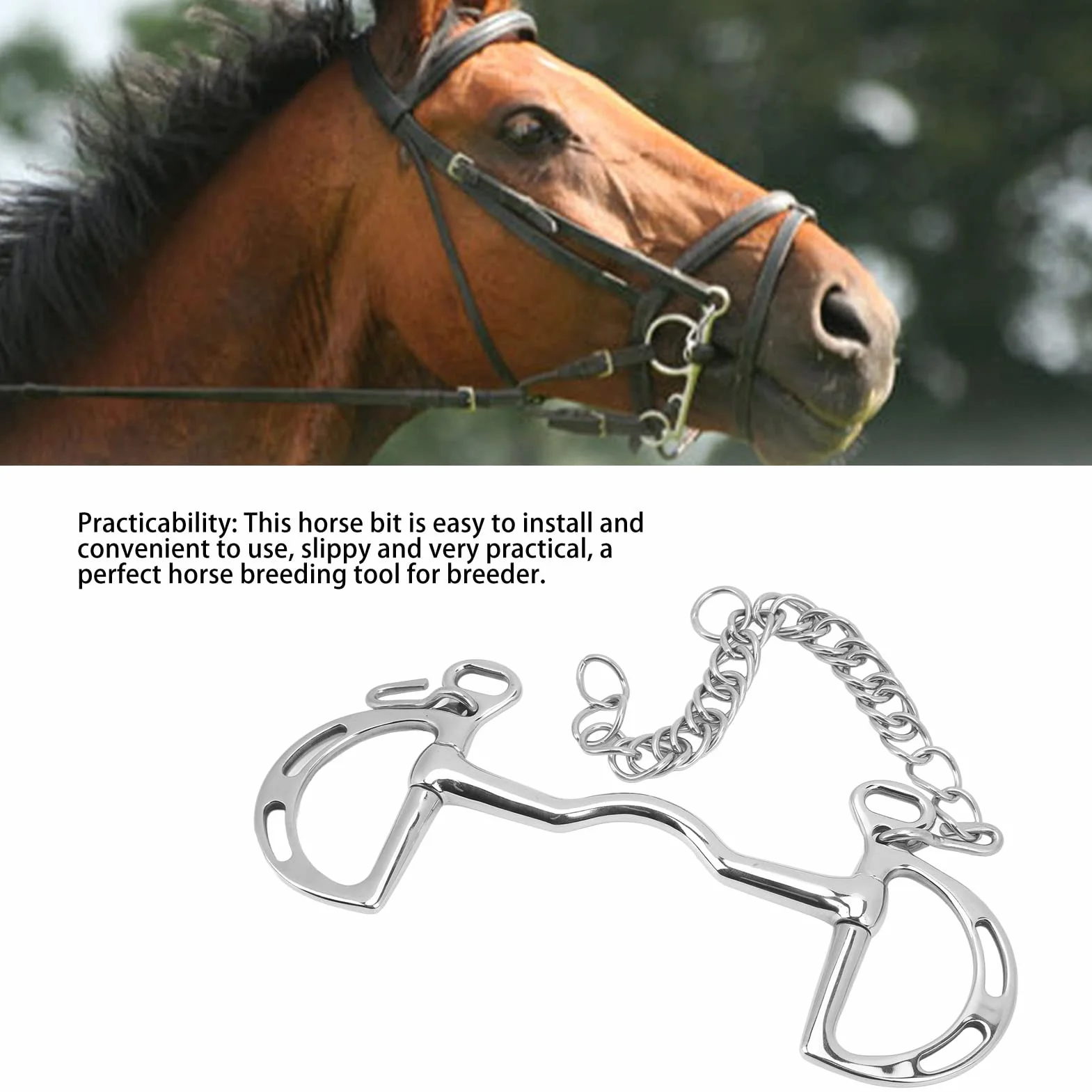 Broca de filete de caballo con anillo en D de acero inoxidable con cadena Broca de boca de caballo de 135 mm Equipo de entrenamiento de caballos duradero antimordeduras par