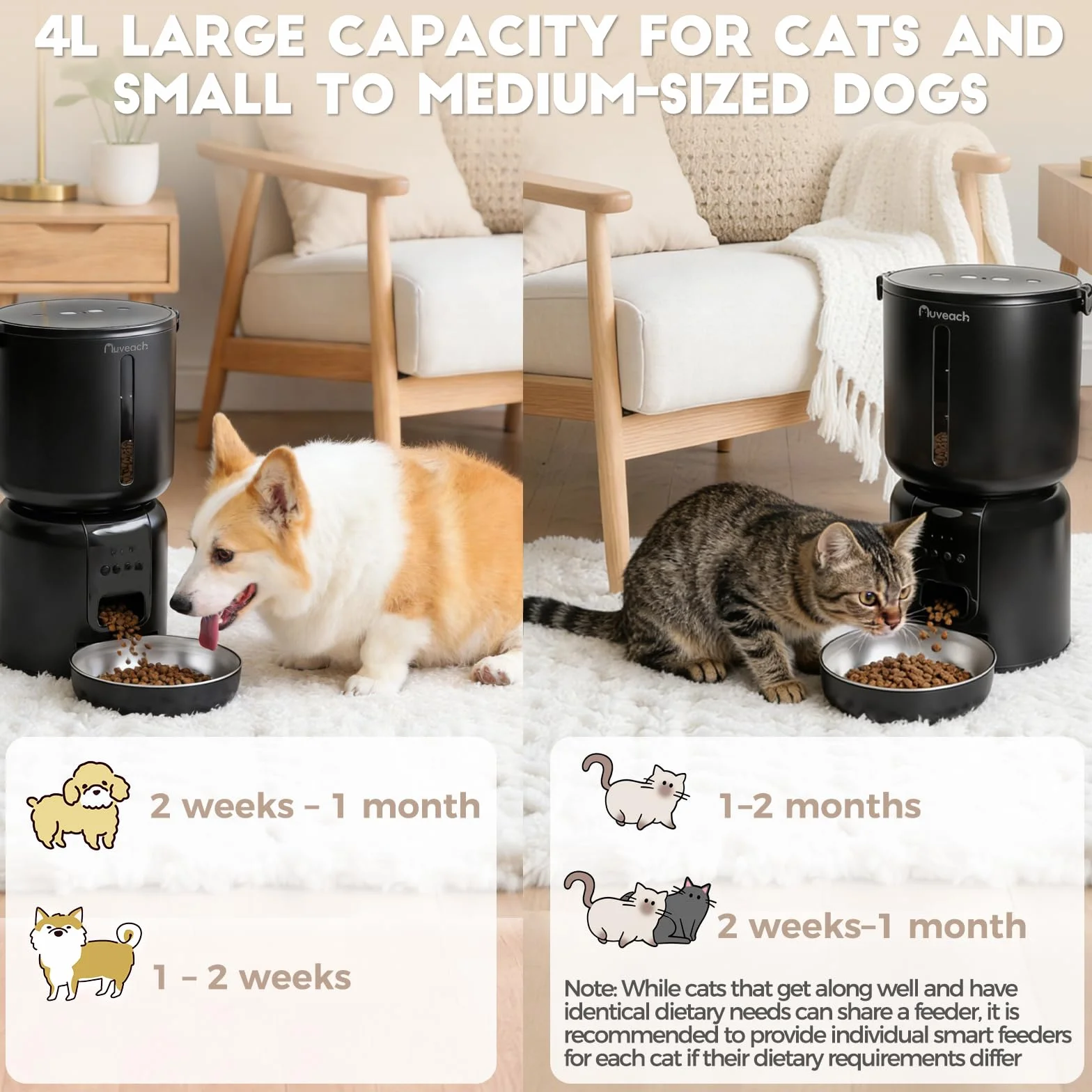 Comedero Gato Automatico y Fuente para Gatos Set - 4L WiFi 2.4G Dispensador de Comida para Gatos Perros con Temporizador Programable, 1-10 Comidas al Día, Cuenco de Acero Inoxidable (Negro)
