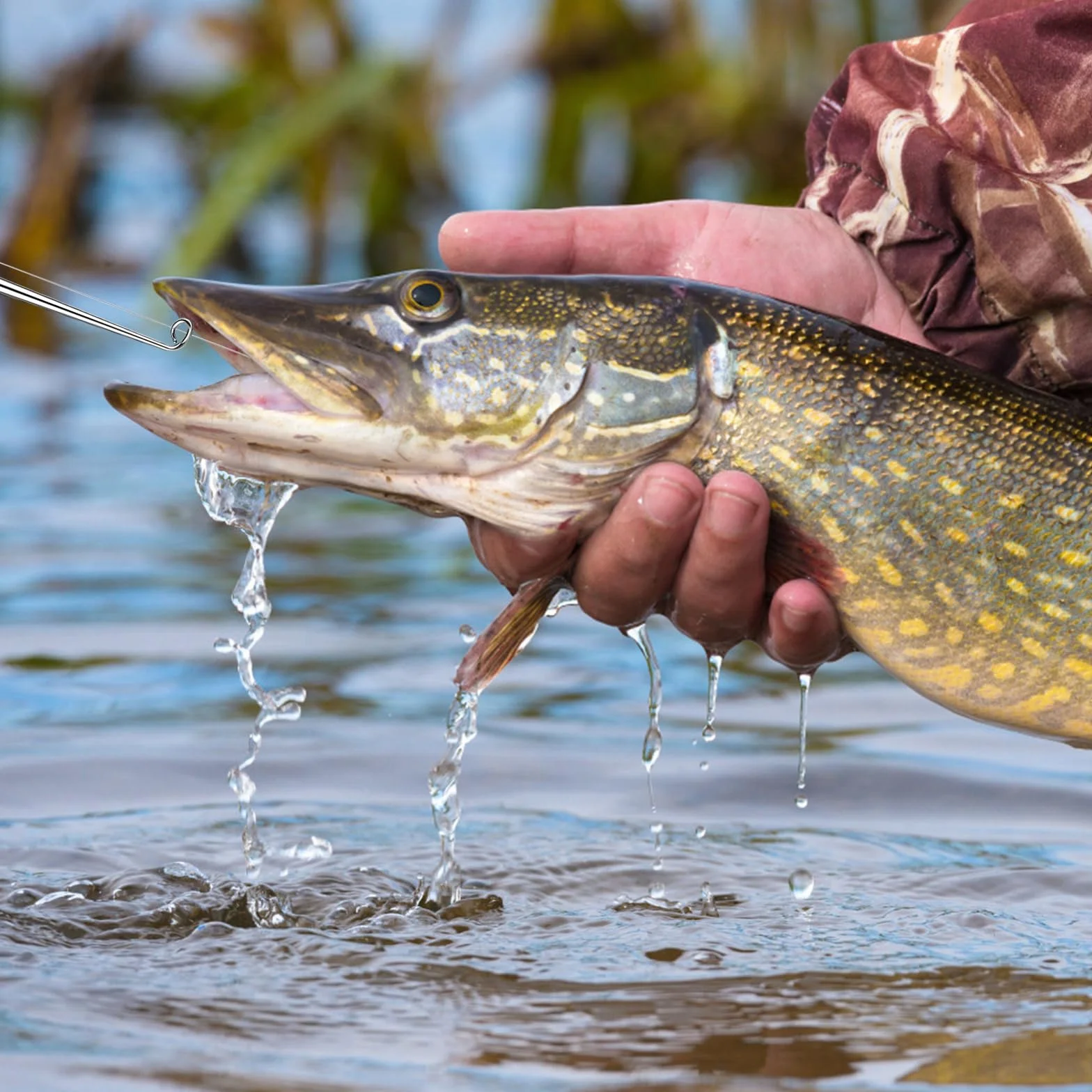 Removedor de Gancho Pesca Acero Inoxidable Extractor de Anzuelos con Tubo de Almacenamiento 17cm