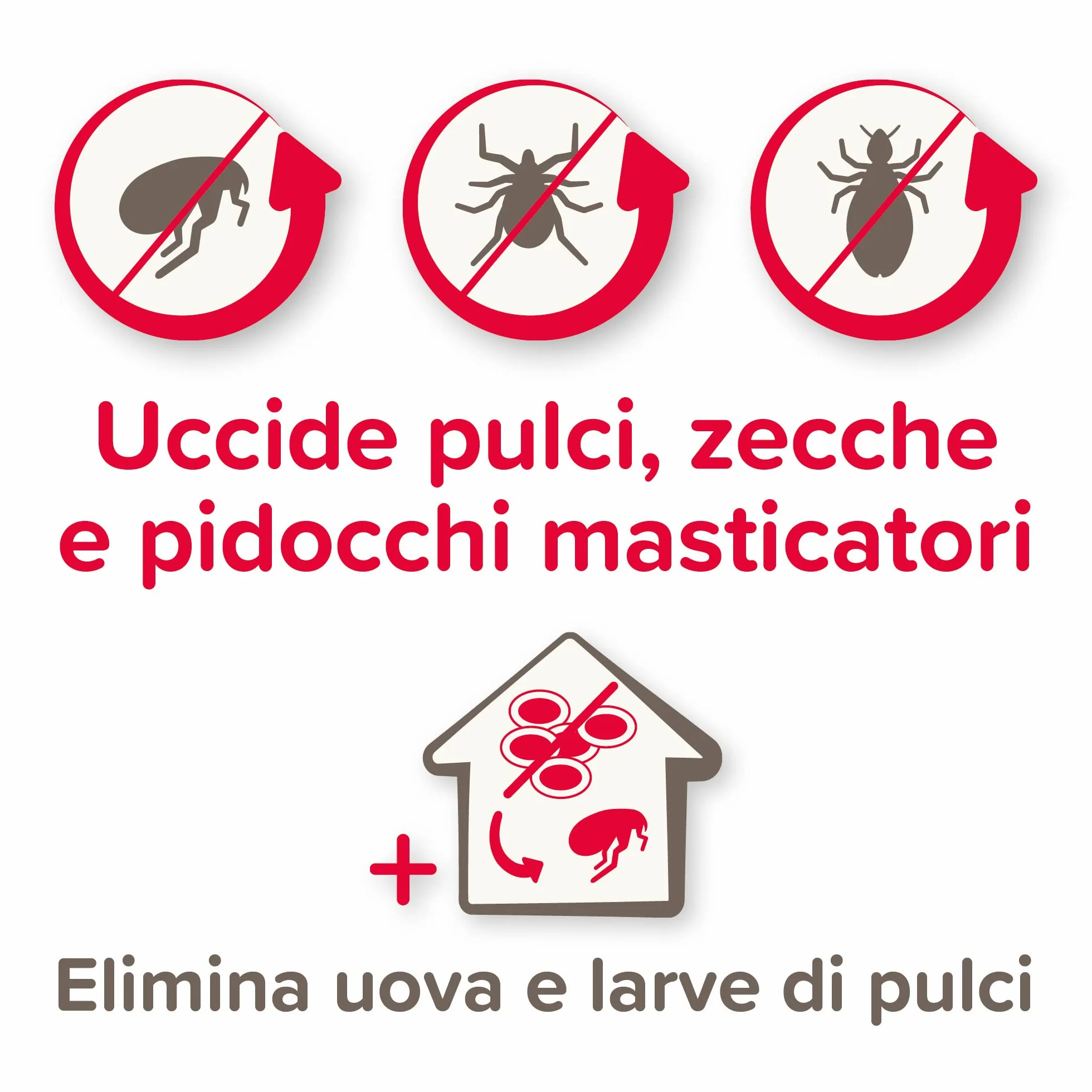 Beaphar Combotec - Antiparasitario para gatos, protege de pulgas, garrapatas, huevos, larvas y también la casa – en paquete de 3 pipetas