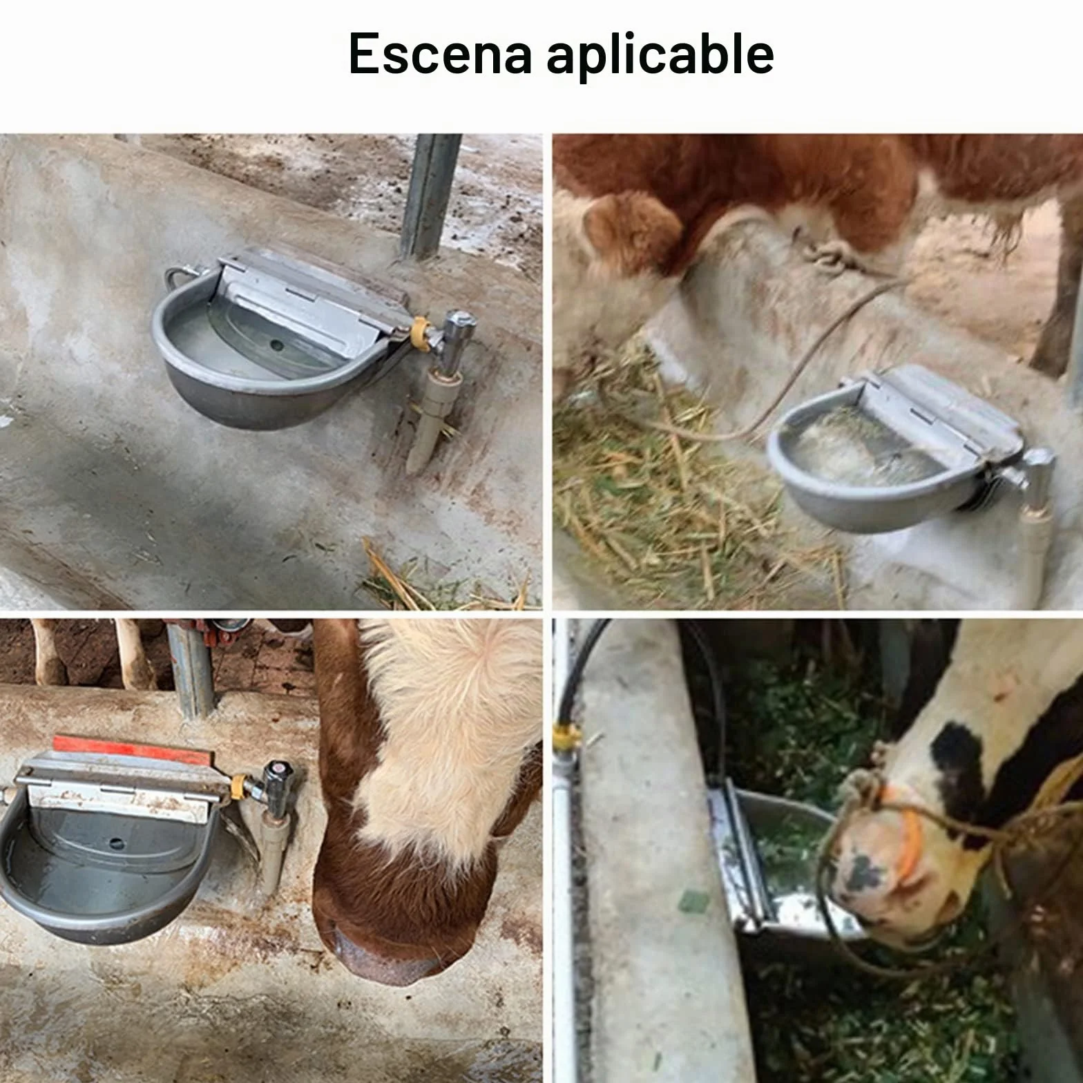 Recipiente AutomáTico Agua Vacas, Bebedero Acero Inoxidable 4 en 1, Utilizado para Ganado Caballo Oveja Bebedero para Perros Herramienta Cría Animales