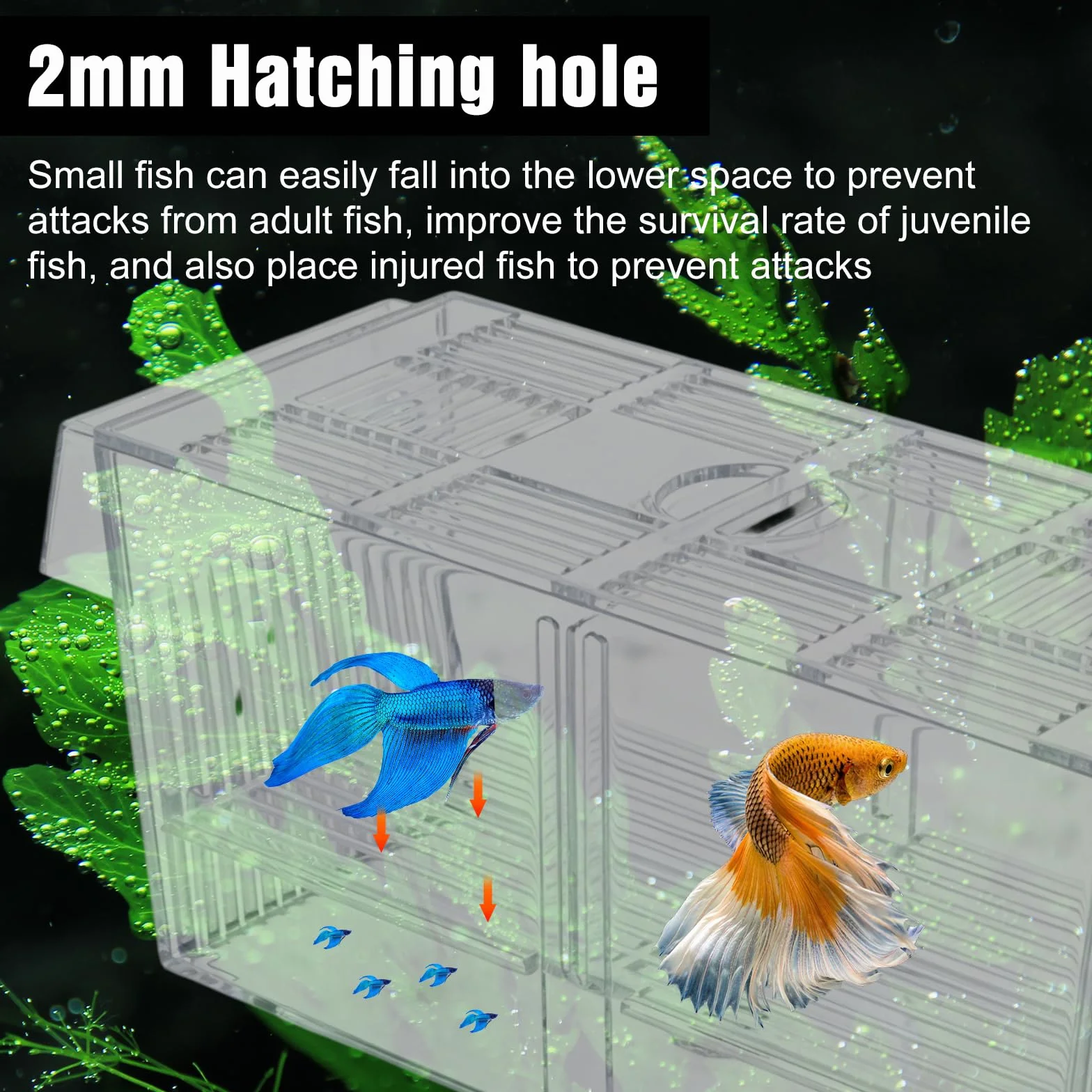 Caja de desove para acuario, grande, con red de sellado de peces, tanques de cultivo de acrílico para acuarios, diseño de dos cámaras, para peces bebés, camarones, Betta Guppy, peces payaso