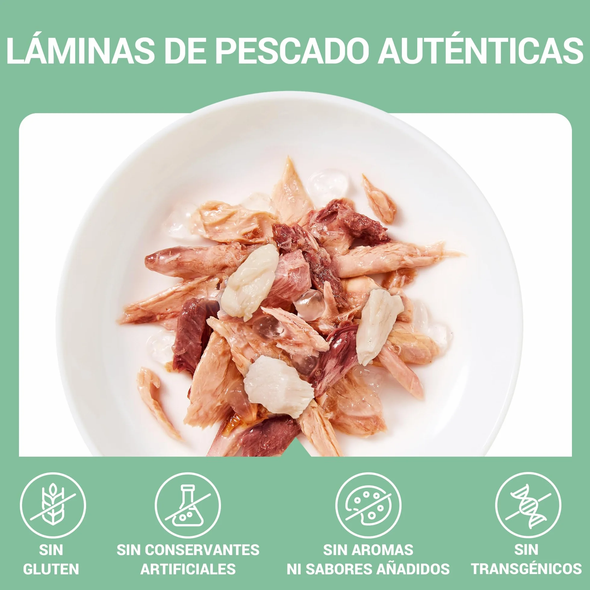 Schesir, Filetes de Atún con Merluza en Gelatina, Comida Húmeda Complementaria para Gatos, en Latas, Receta Original, 100% Natural, 12 x 70g
