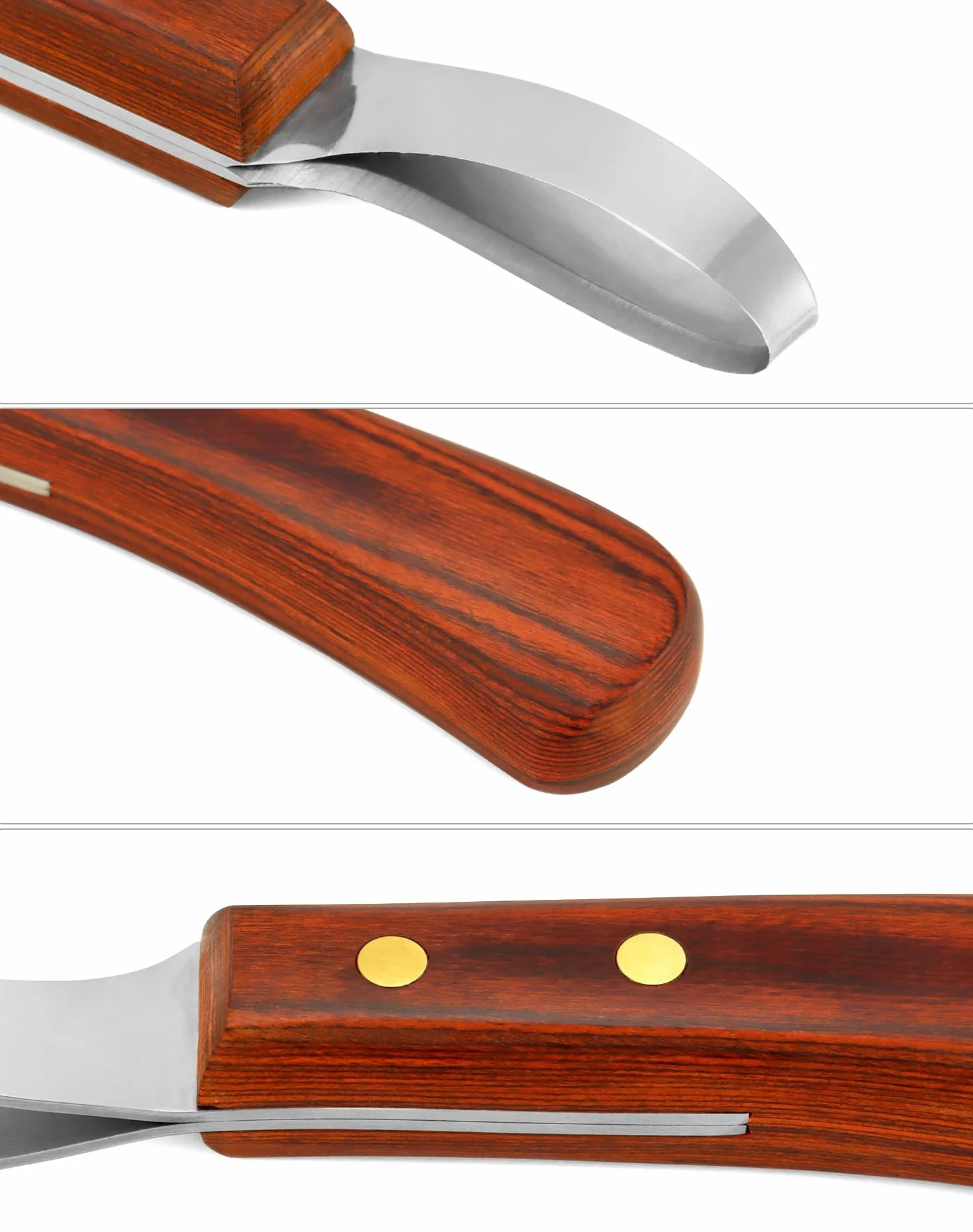 QWORK® Cuchillo para pezuñas de Acero Inoxidable de Primera Calidad con Mango, Cuchillo para bucles, Herramienta para Recortar pezuñas para Caballos