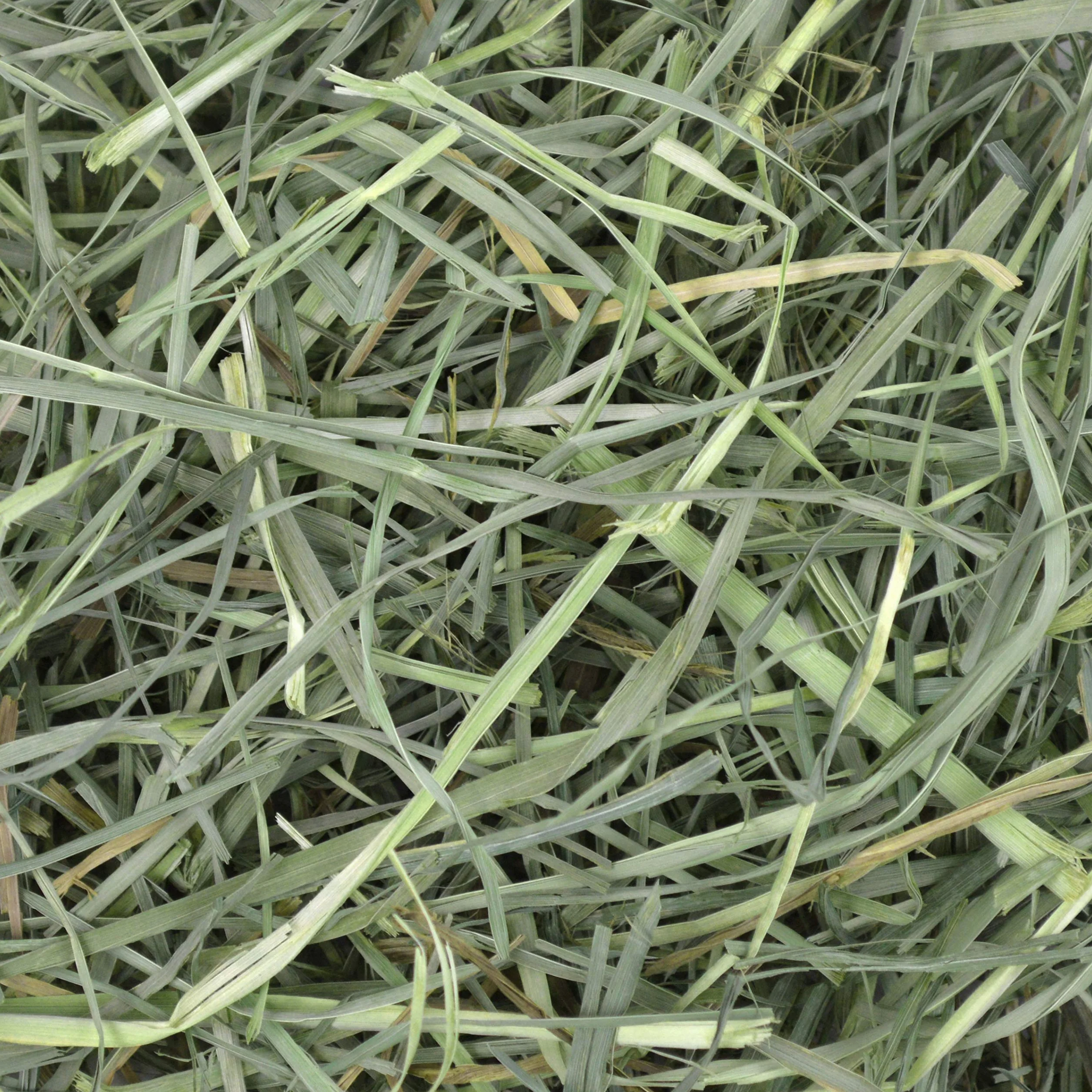 Orchard Grass Heno para Mascotas pequeñas Oxbow, 1,13 kg