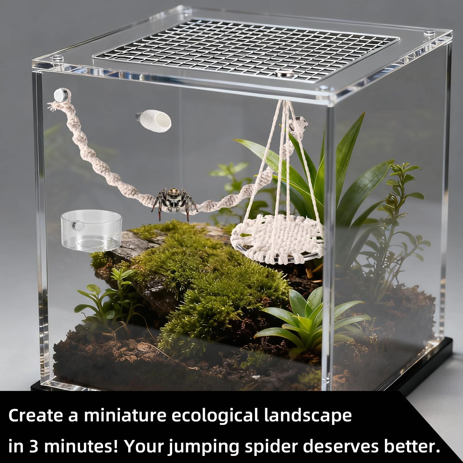 18uds Accesorios Araña Saltarina Terrario Juego, Columpio de Cuerda de Algodón Plataforma con Nido Bebedero Pinzas Pulverizador Cepillo e Imanes para Decorar Tu Terrario