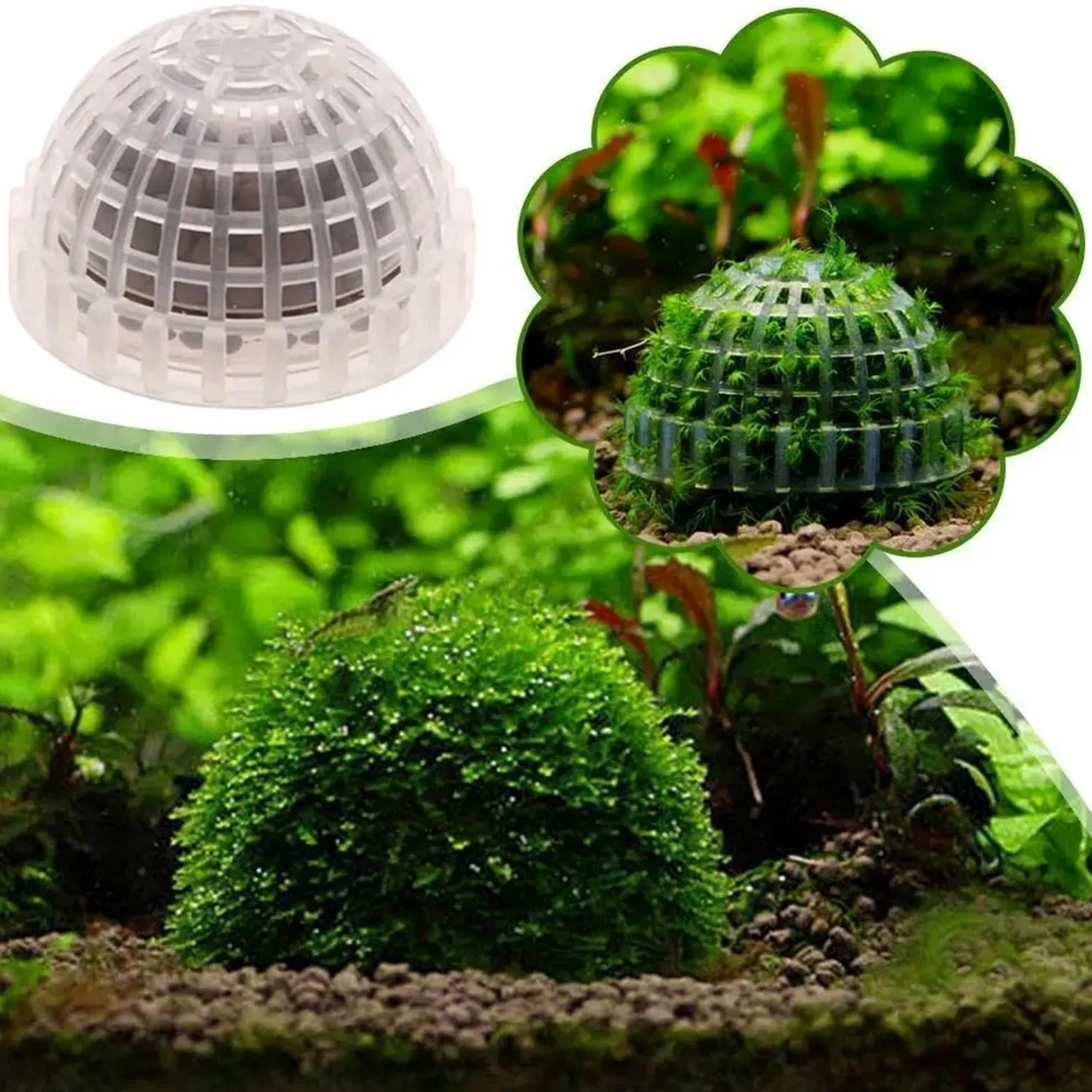 Acuario Decoración Plantas Bio Moss Ball Holder para Acuario | Accesorios de filtro de decoración for pecera, casa de camarones rojos cristalinos, for acuario(5PCS)