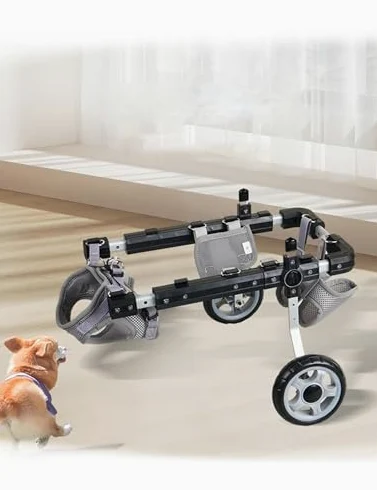 Silla de ruedas todo terreno para patas traseras, soporte ajustable con seguridad reflectante para mascotas pequeñas discapacitadas o lesionadas