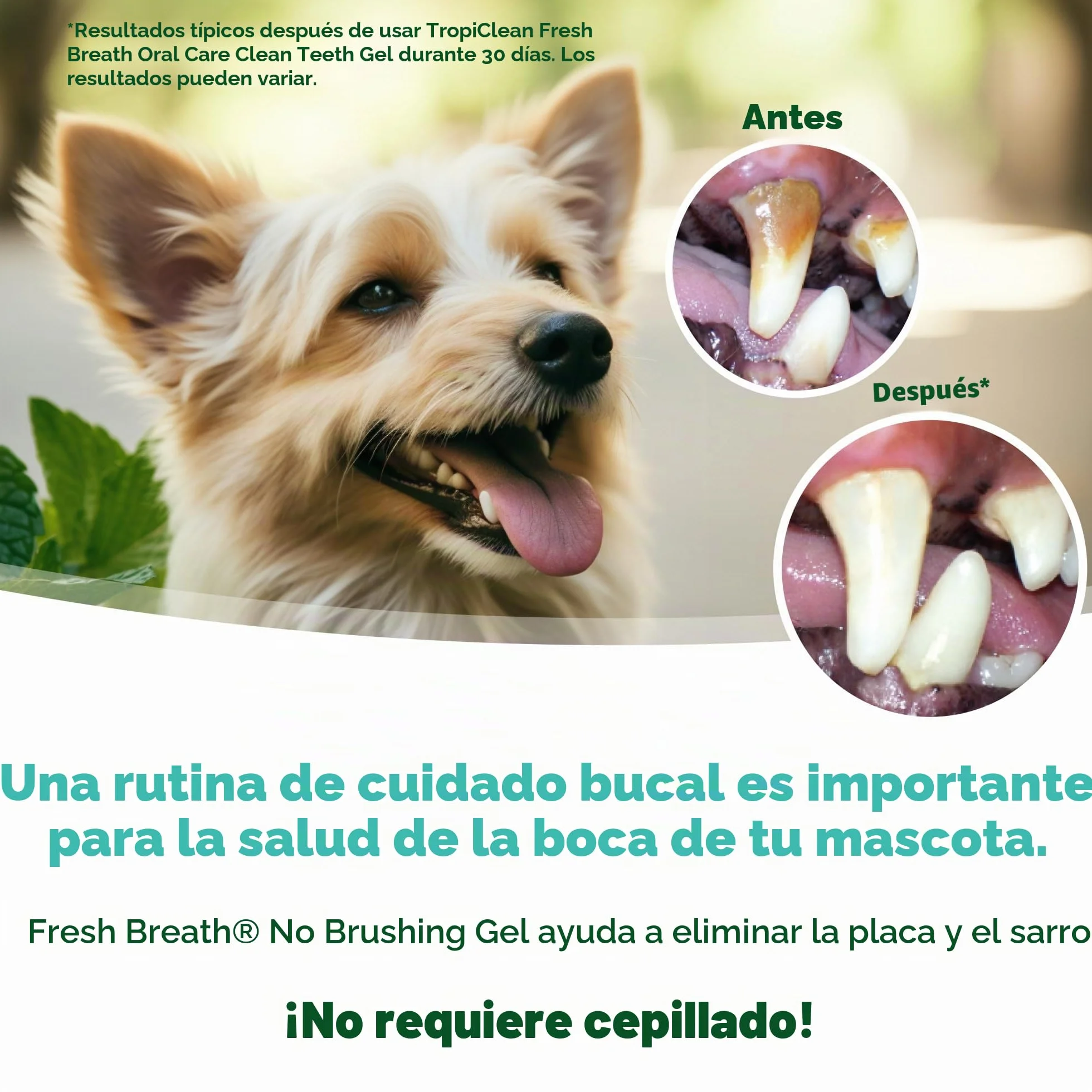 Fresh Breath by TropiClean - Gel de Cuidado Bucal para Perros, Mascotas, Gatos - Sin Cepillado - Ayuda a Eliminar la Placa, el Sarro y la Enfermedad Gingival - Original - 59 ml