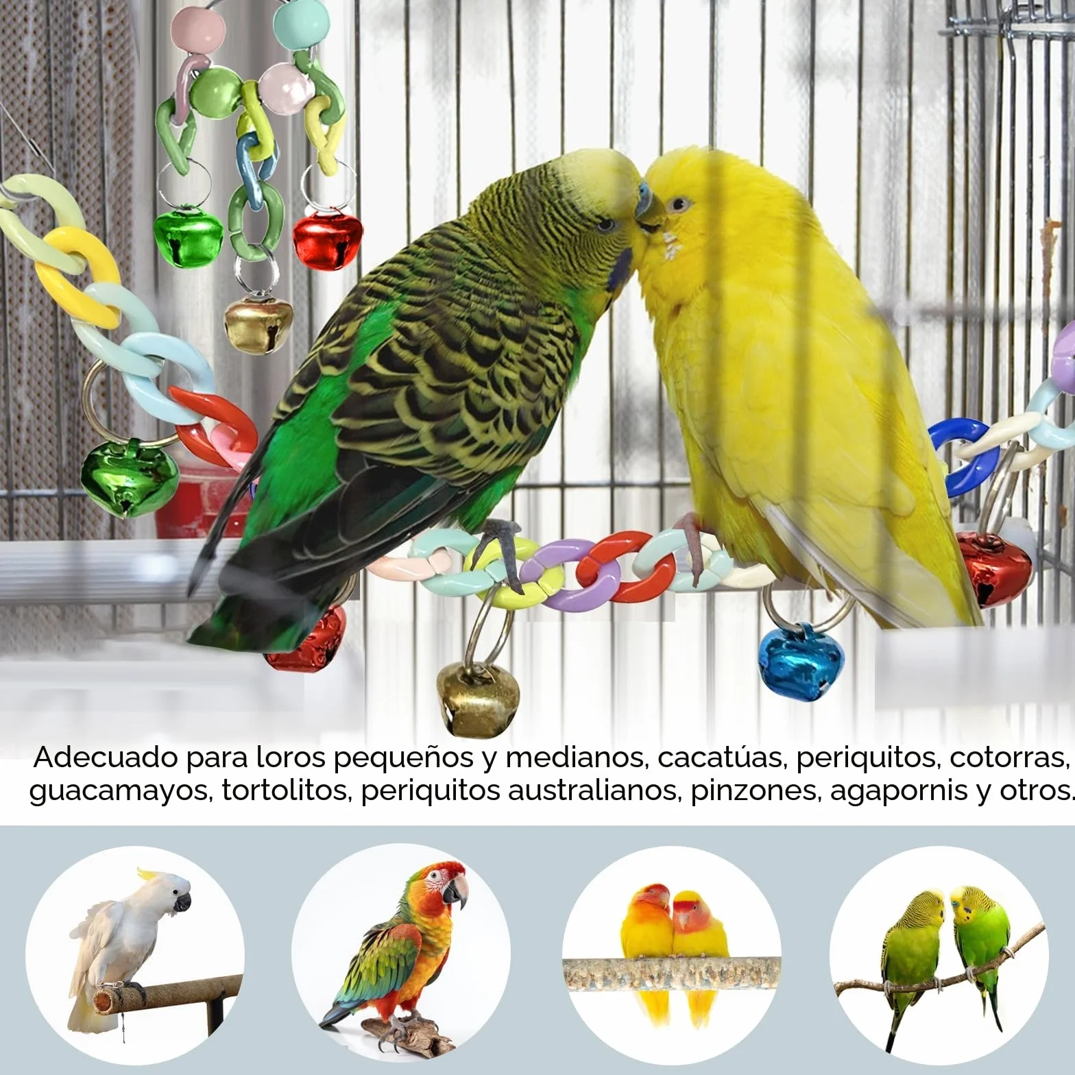 Juguetes para Pájaros, Juguetes de Loro Pájaro, Juguetes Agapornis, Accesorios para Jaula de Pájaros, con Campanas, Columpios, Juguete de Masticación, para Pequeños y Medianos Loros de Aves