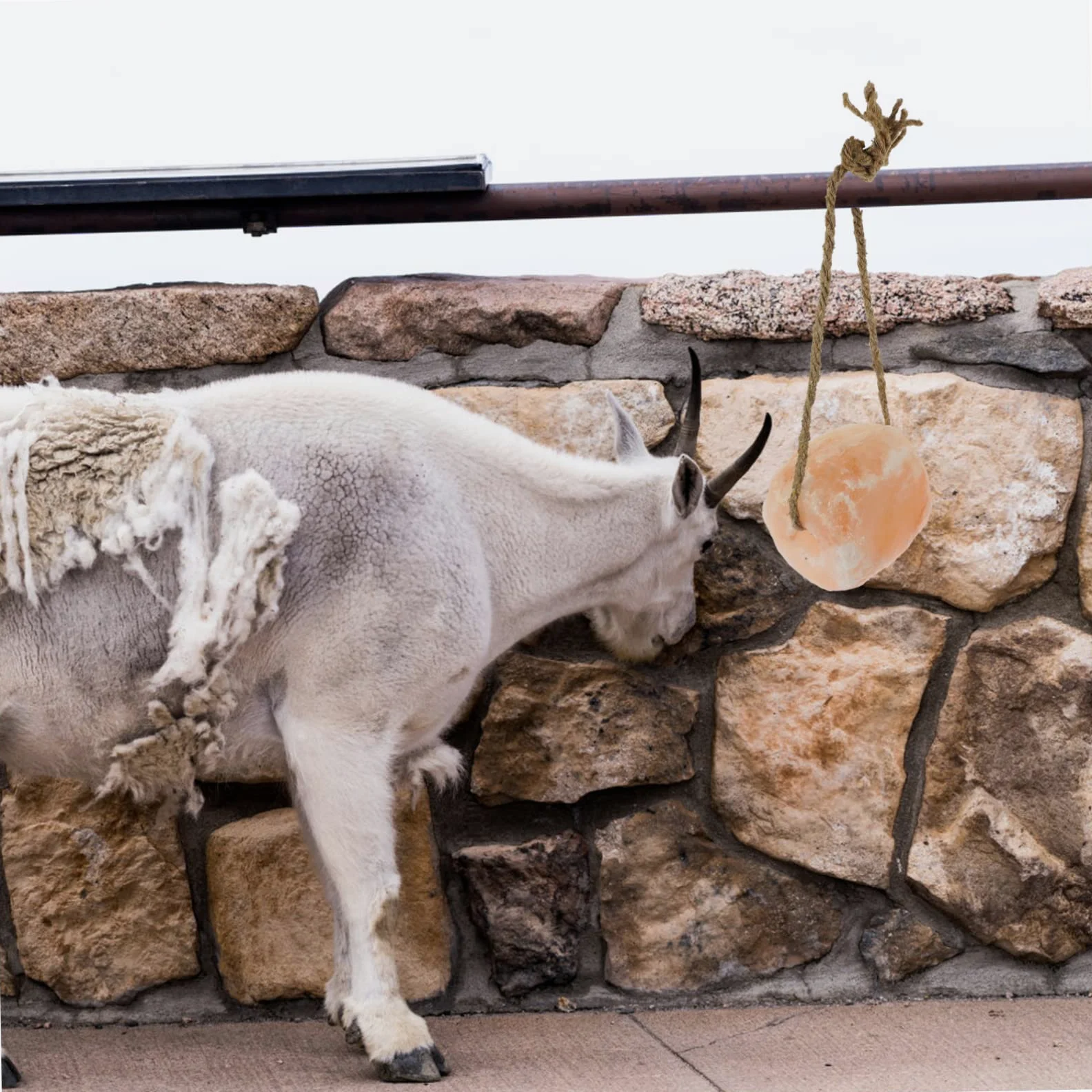 Milisten Bloque De Mineral Para Ganado Bloque Para Lamer Para Ganado Colgante Para Caballos Vacas y Ovejas Granjas