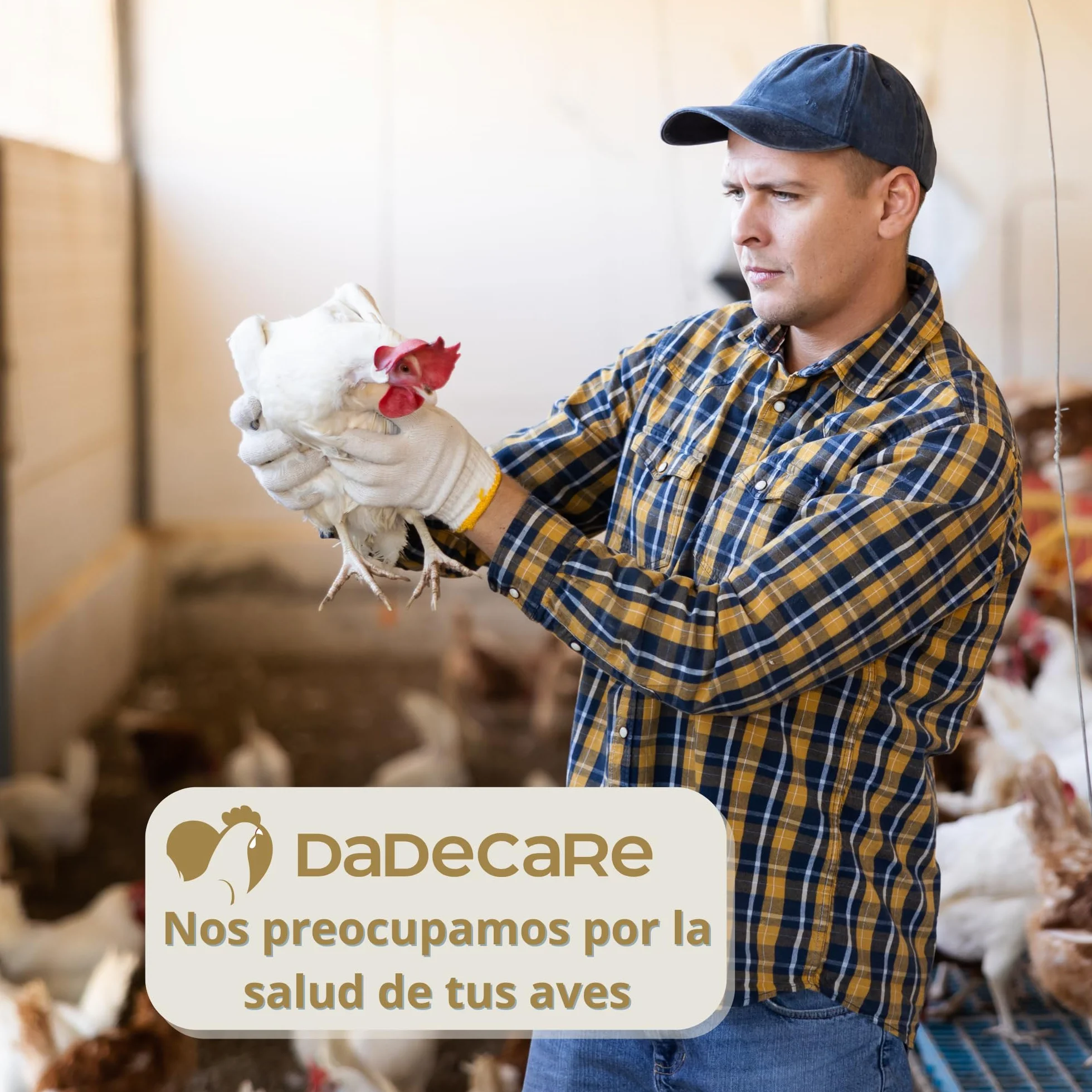 Preventivo Parasitos Natural 250 ml - Gallinas, Aves de Corral y Exóticas - Extracto de Citronela y Clavo - Fórmula Natural - Excare