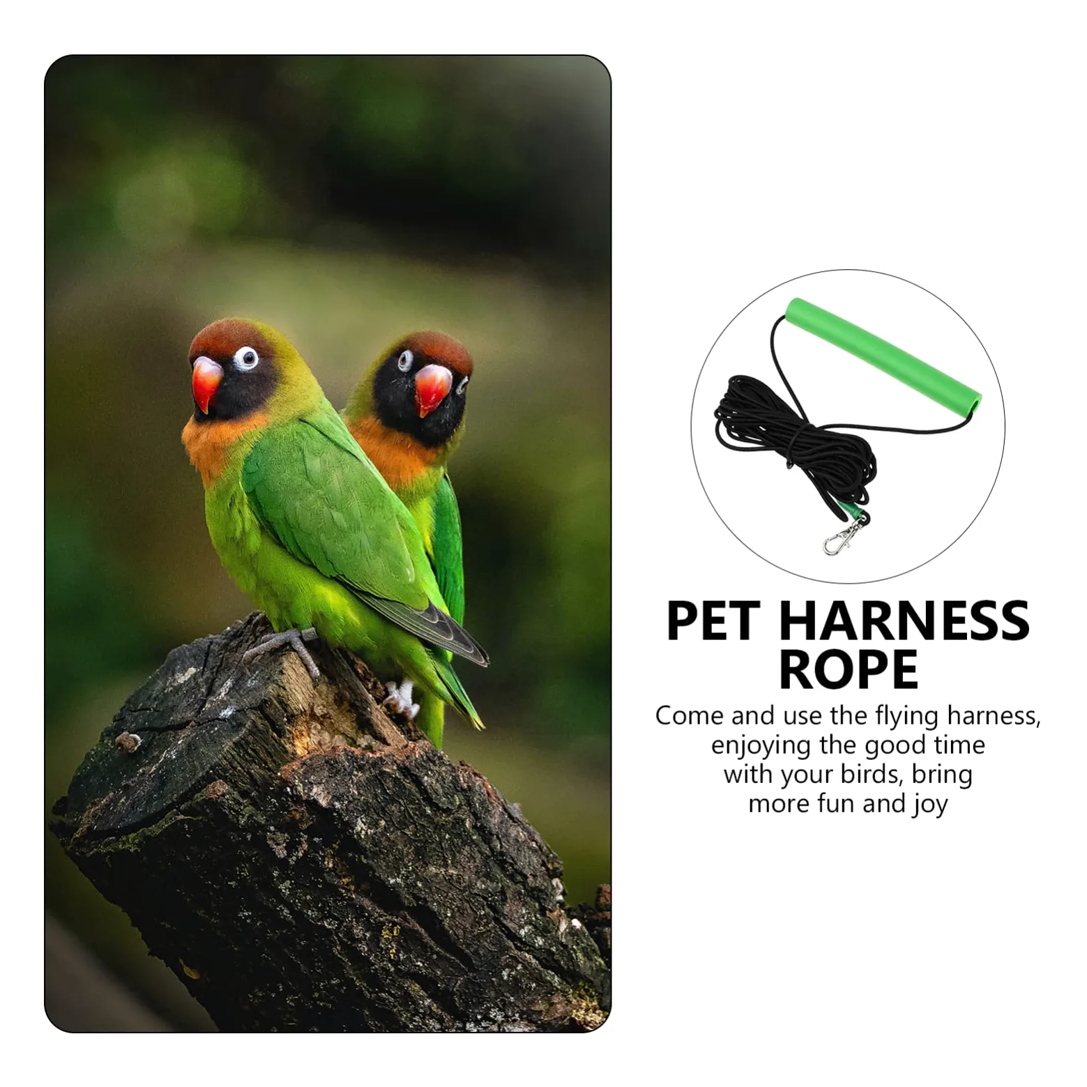 FOMIYES 2piezas Arnés para Aves Cuerda De para y Hamsters para Paseos y Entrenamiento De De