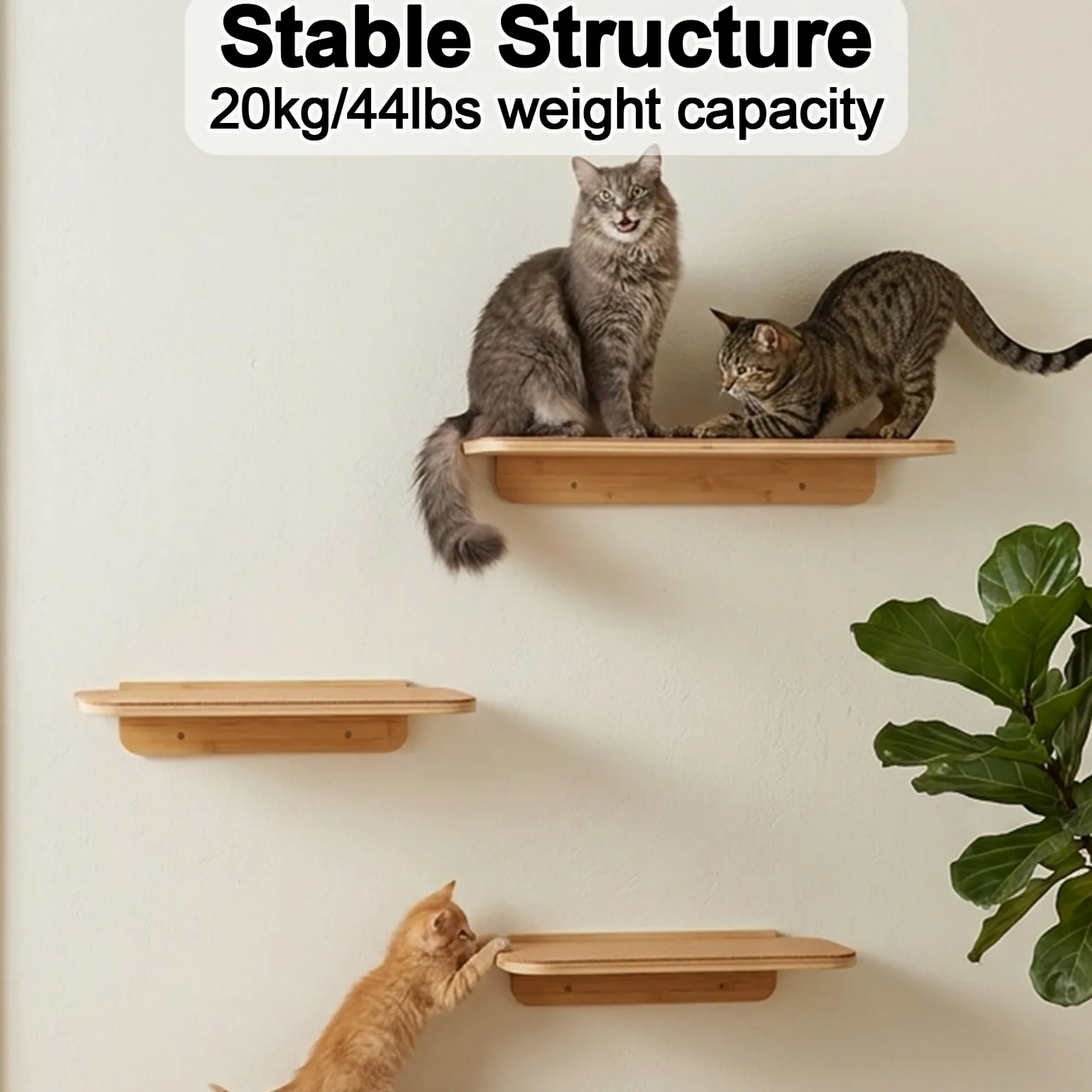 Estantes de Pared para Gatos, Percha de Pared de Madera de Pino de 65 cm, con Capacidad de Peso de 20 Kg para Dormir Y Jugar
