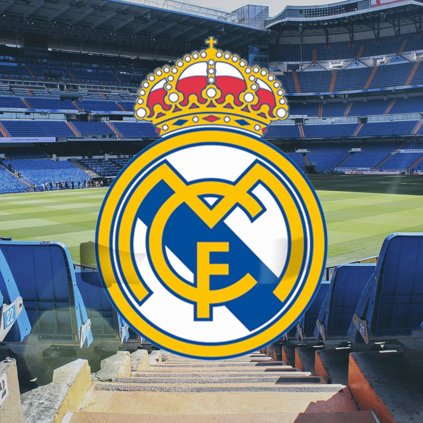 CYPBRANDS Real Madrid CF Sudadera para Perro Talla L Producto Oficial