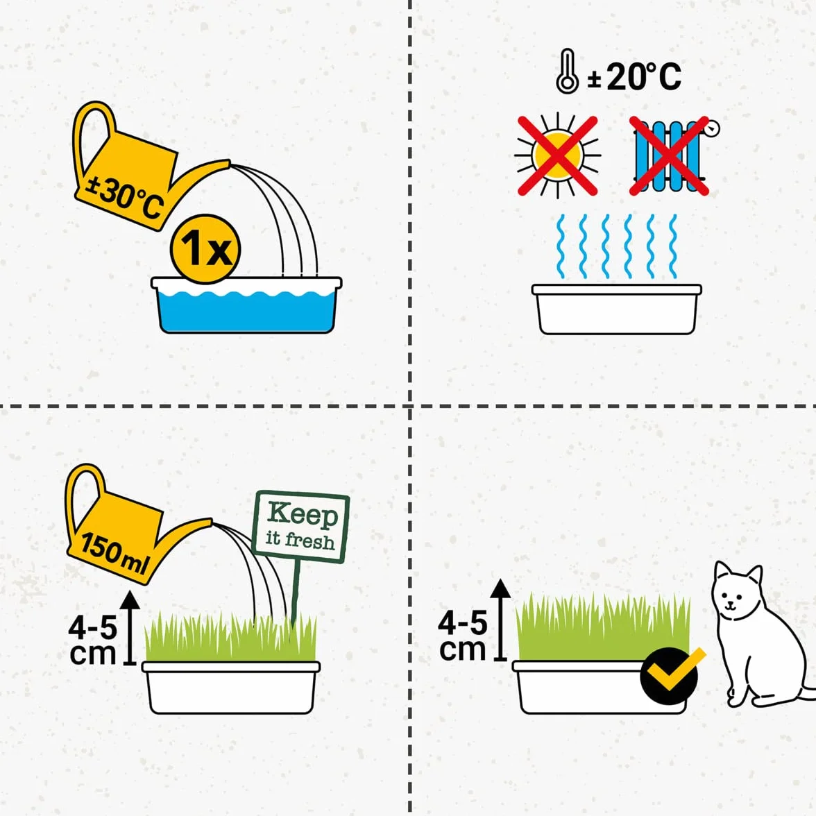 GimCat Hydro-Gras - Hierba fresca para gatos, de plantación controlada, en tan solo de 5 a 8 días - 1 bandeja (1 x 150 g)
