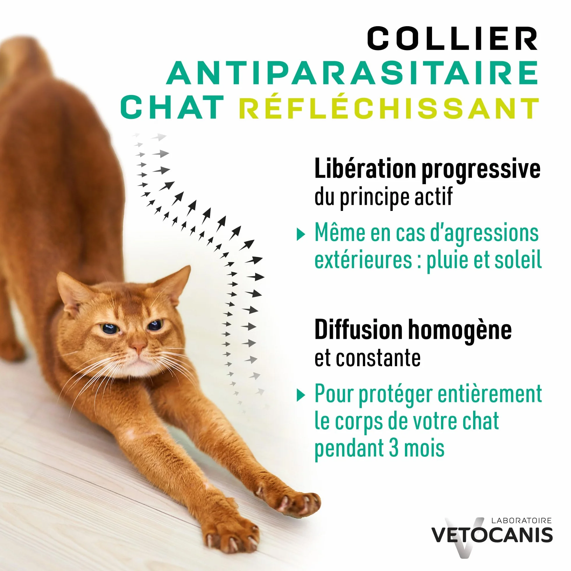 Vetocanis | Collar Antiparasitario Gatos | Protección y Tratamiento Antiparasitario Gatos | Eficaz 3 Meses | Para Gatos de + de 9 Meses | Banda Reflectante | Formulado bajo Control Veterinario