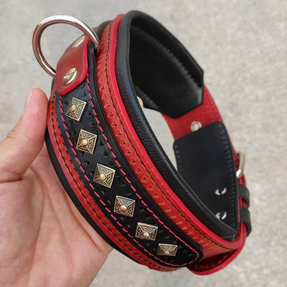 Bestia '' Balteus '' Collar de Perro con Tachuelas de Cuero