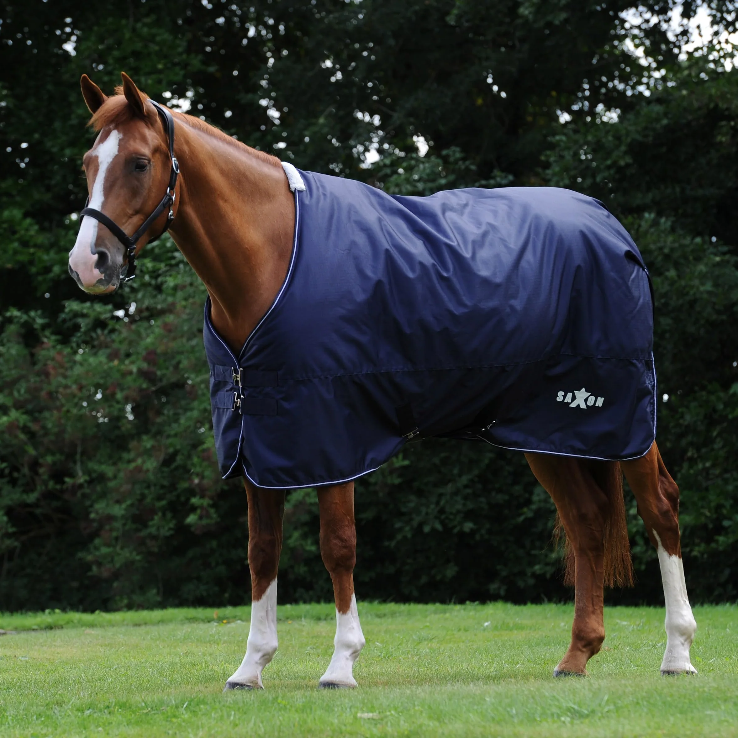 Saxon - Manta de Caballos para Ejercicio Medio Cuello Estándar Defiant (6' 5) (Marino, Blanco)