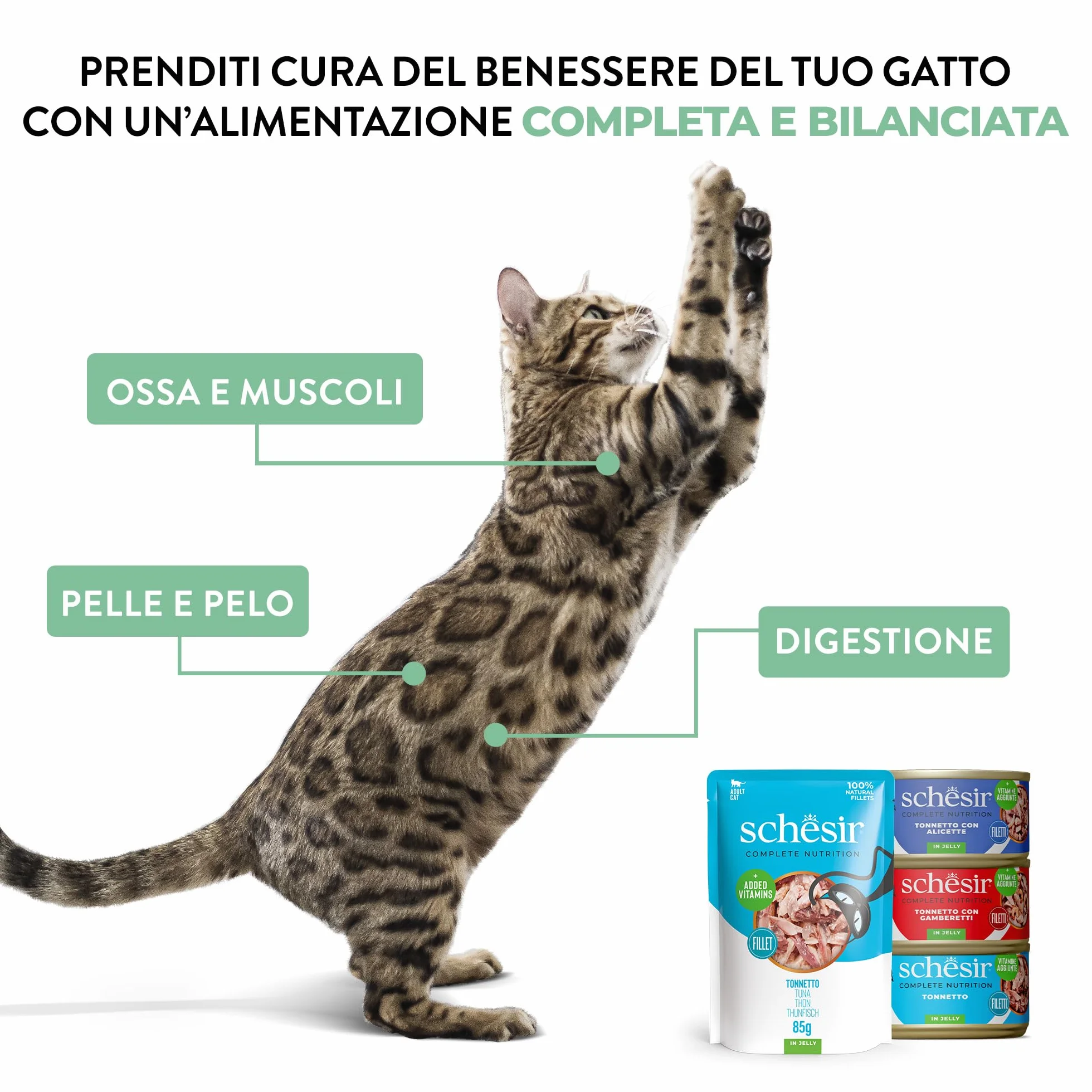 Schesir Atún con Gambas en Gelatina, Comida Húmeda para Gatos, en Latas, 100% Natural, con Vitaminas Añadidas, 12 x 85g
