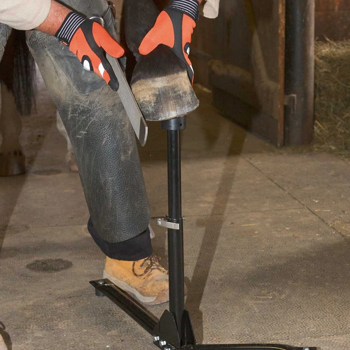 Kerbl Huf Bock EcoFlex 2 in 1