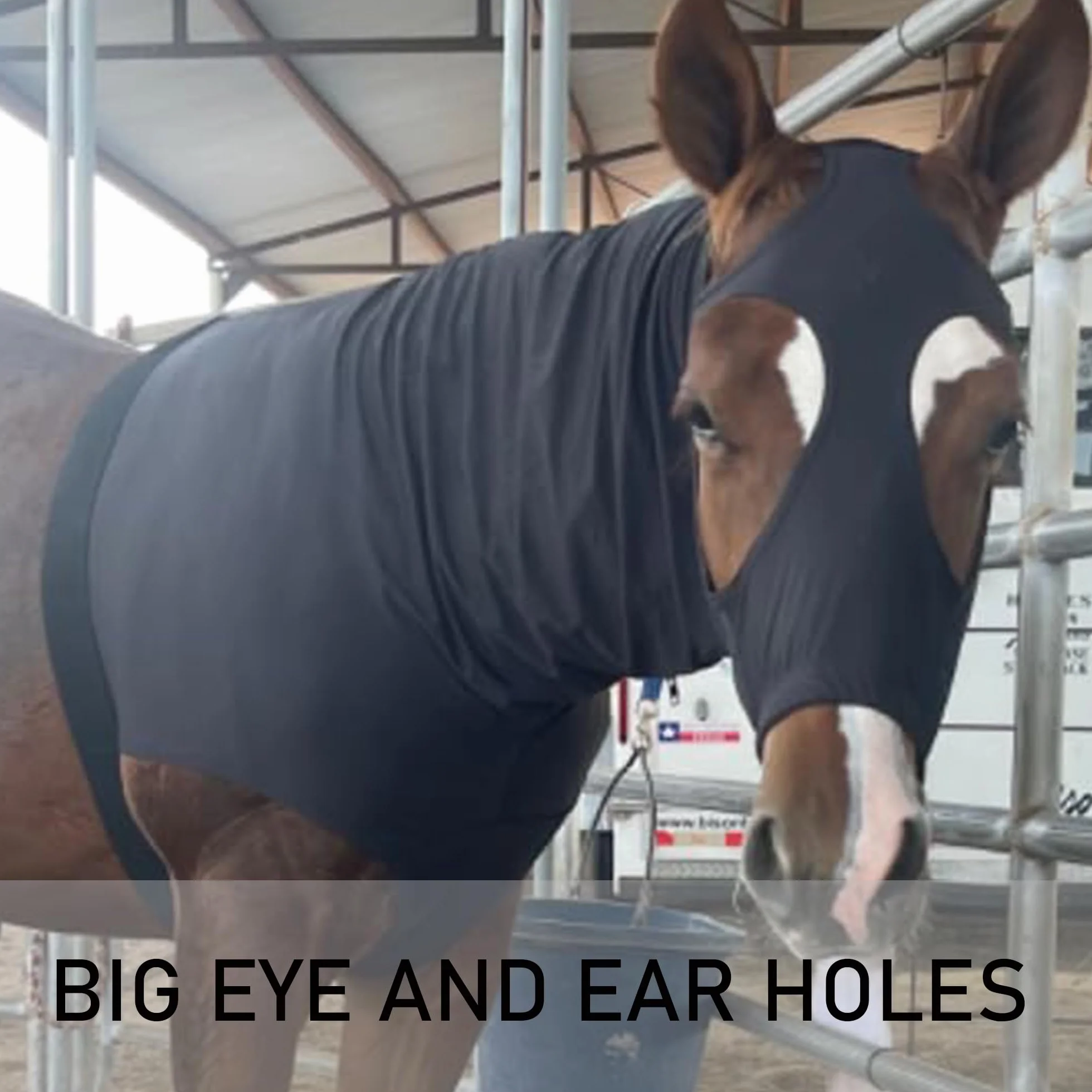 Leberna Capucha Lycra con Cremallera para Caballo XL Negro