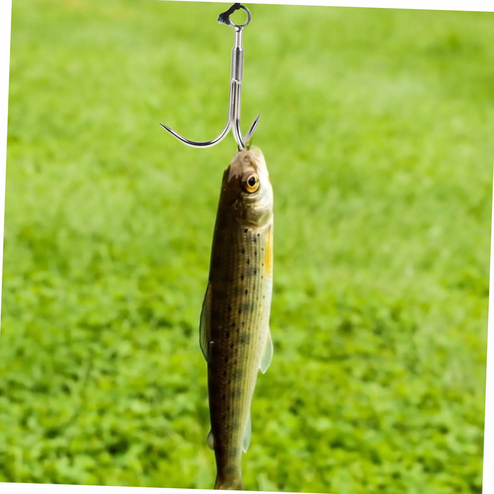 BESPORTBLE Gancho de Escalada de Acero Inoxidable de Tres Garras con Cuerda para Pesca y Actividades al Aire Libre