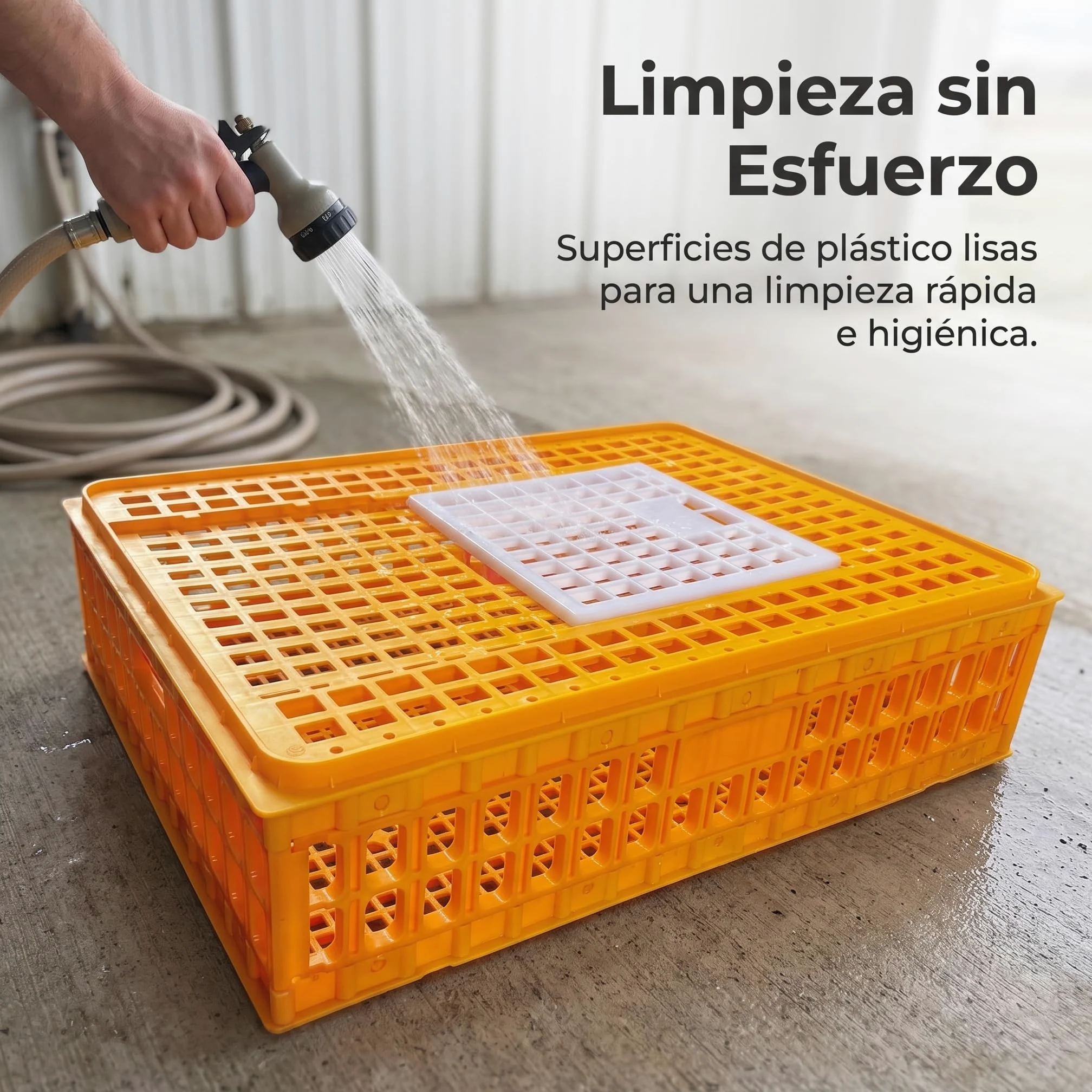 Jaula Transporte Aves Conejo, Caja plástico para Pollos, s y s, Amarillo