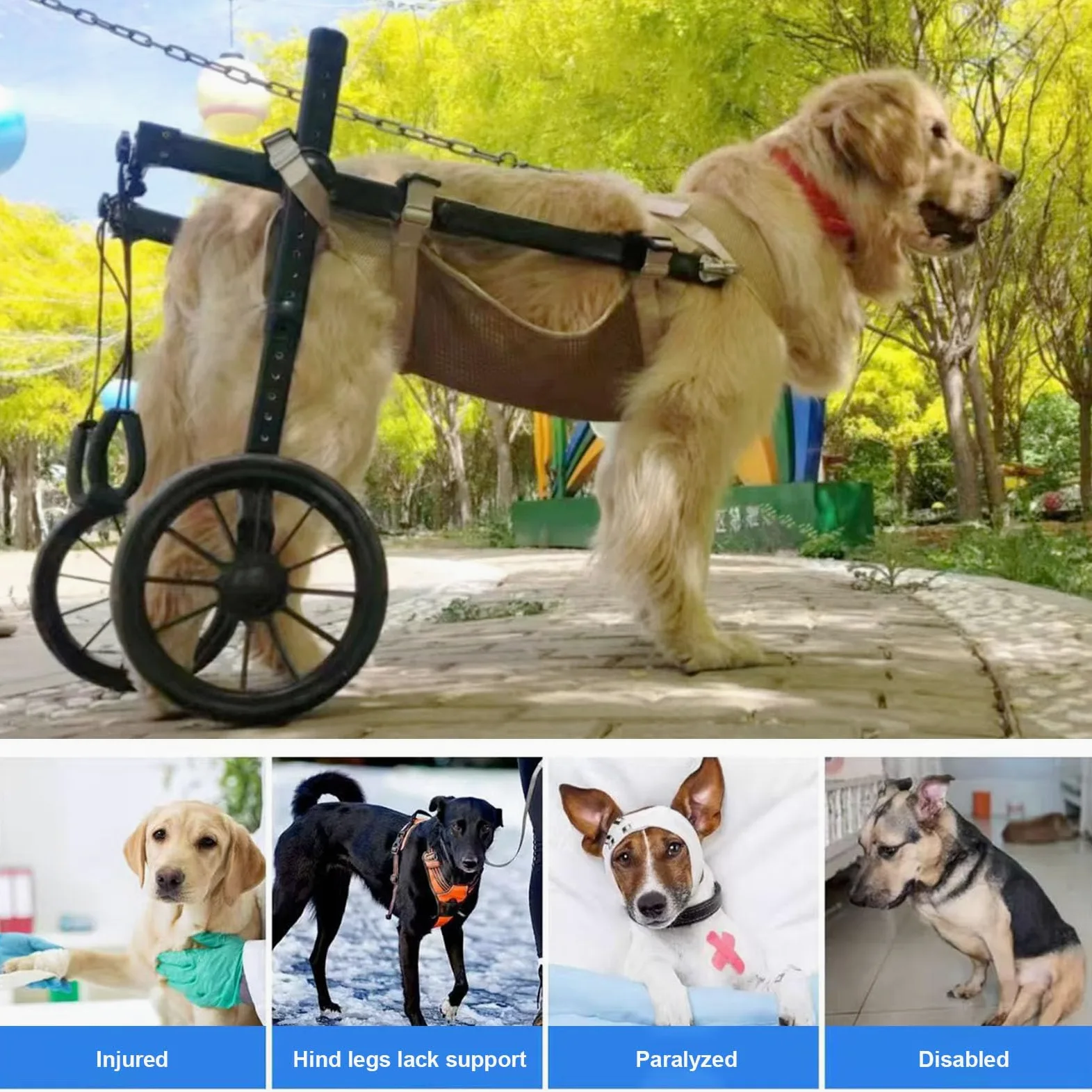Silla de Ruedas para Perros Grandes con Patas Traseras, Ayuda A La Movilidad y Carrito para Mascotas Discapacitadas, Ideal para Rehabilitación de Piernas En Personas Mayores XL