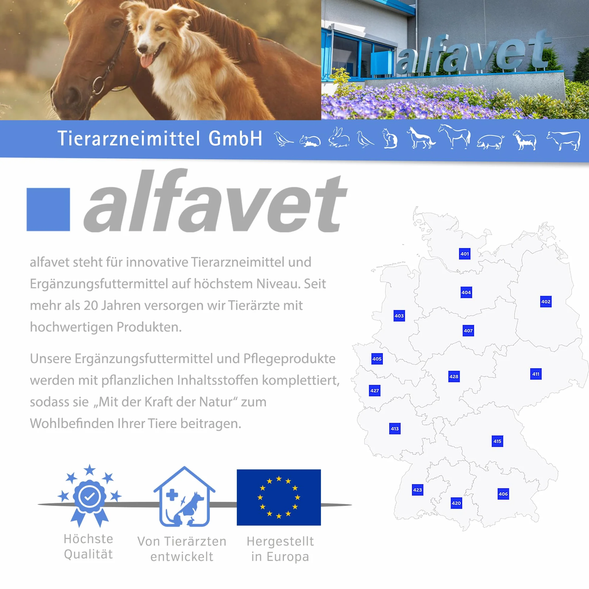 Alfavet RodiCare Hairball - alimento complementario para Conejos Enanos y cobayas - Ayuda a Eliminar Las Bolas de Pelo - 3 inyectores de 12 ml