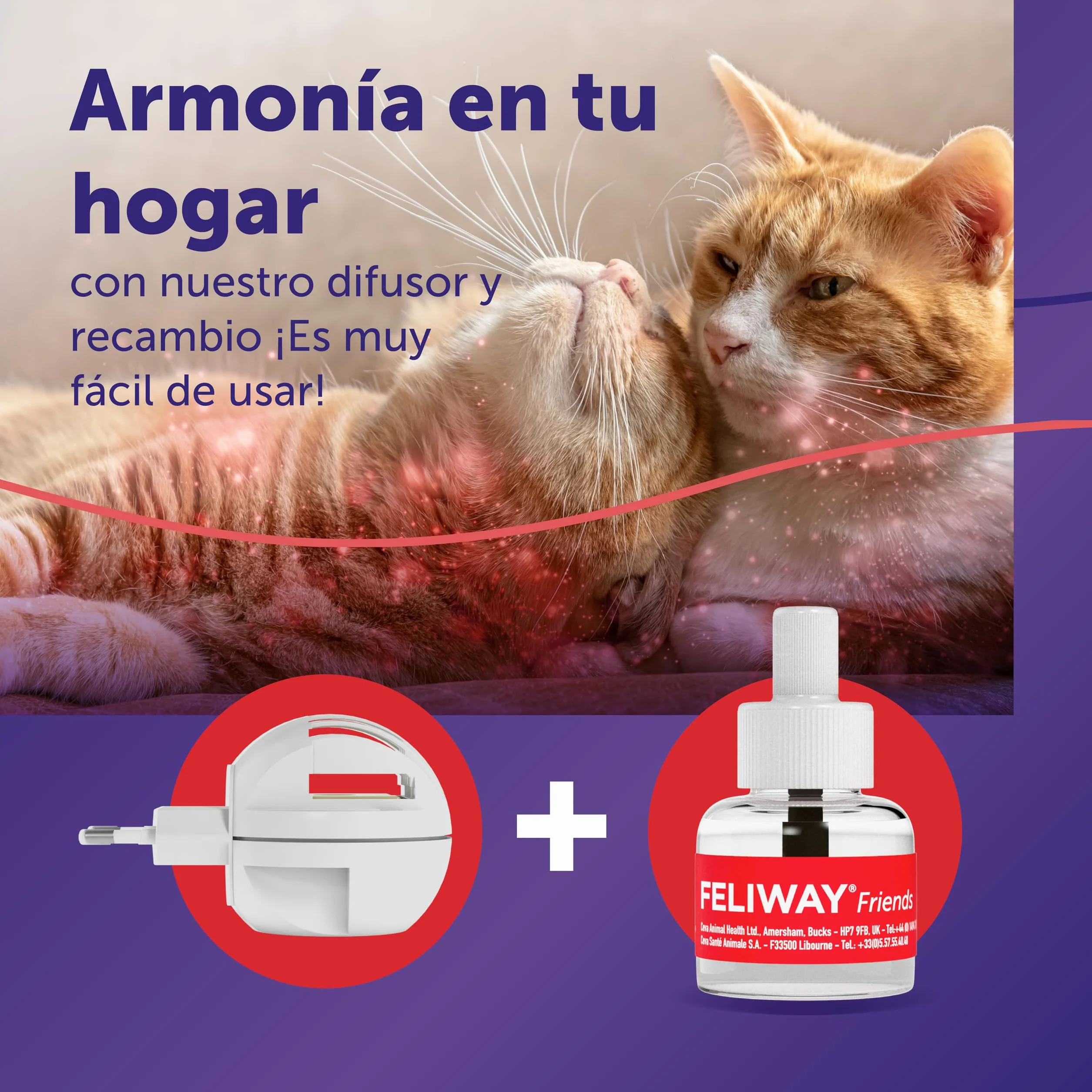 FELIWAY Friends - Difusor + Recambio de feromonas calmantes para Gatos (30 días, 48 ​​ml) - Ayuda a Crear armonía y a Reducir conflictos Entre Gatos Que Viven Juntos. Recomendado por Veterinarios