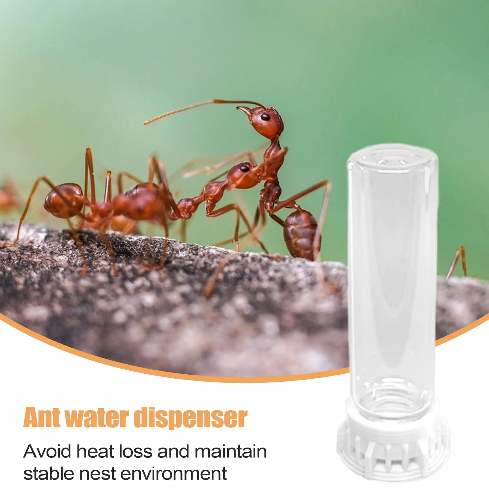 Dispensador De Agua para Hormigas - Bebederos Transparentes para Hábitat De Mascotas - Estación Portátil Antifugas con Accesorios Antideslizantes para Hormigueros Y Pequeñas Mascotas De Interior