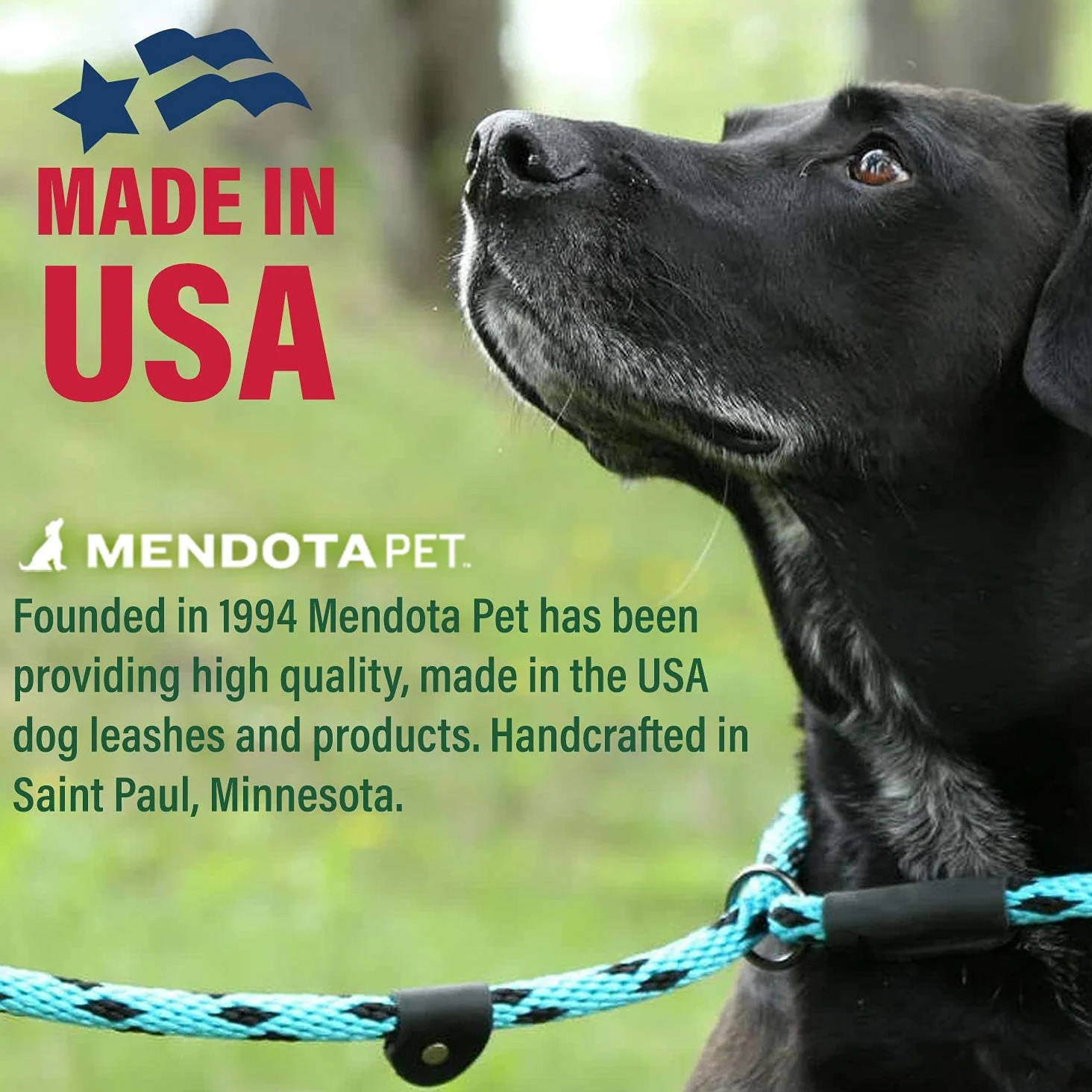 Mendota Products - Correa para Perro