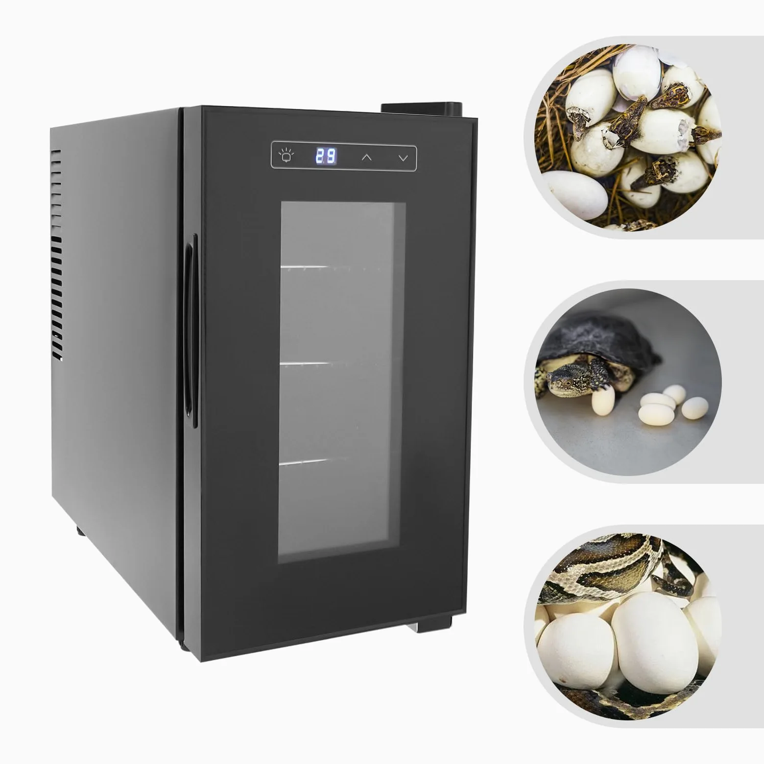 Incubadora de huevos para reptiles de 23 litros, temperatura ajustable, 10 – 40 ℃, incubadora totalmente automática con pantalla LED, incubadora de laboratorio para tortugas de agua, lagartos,