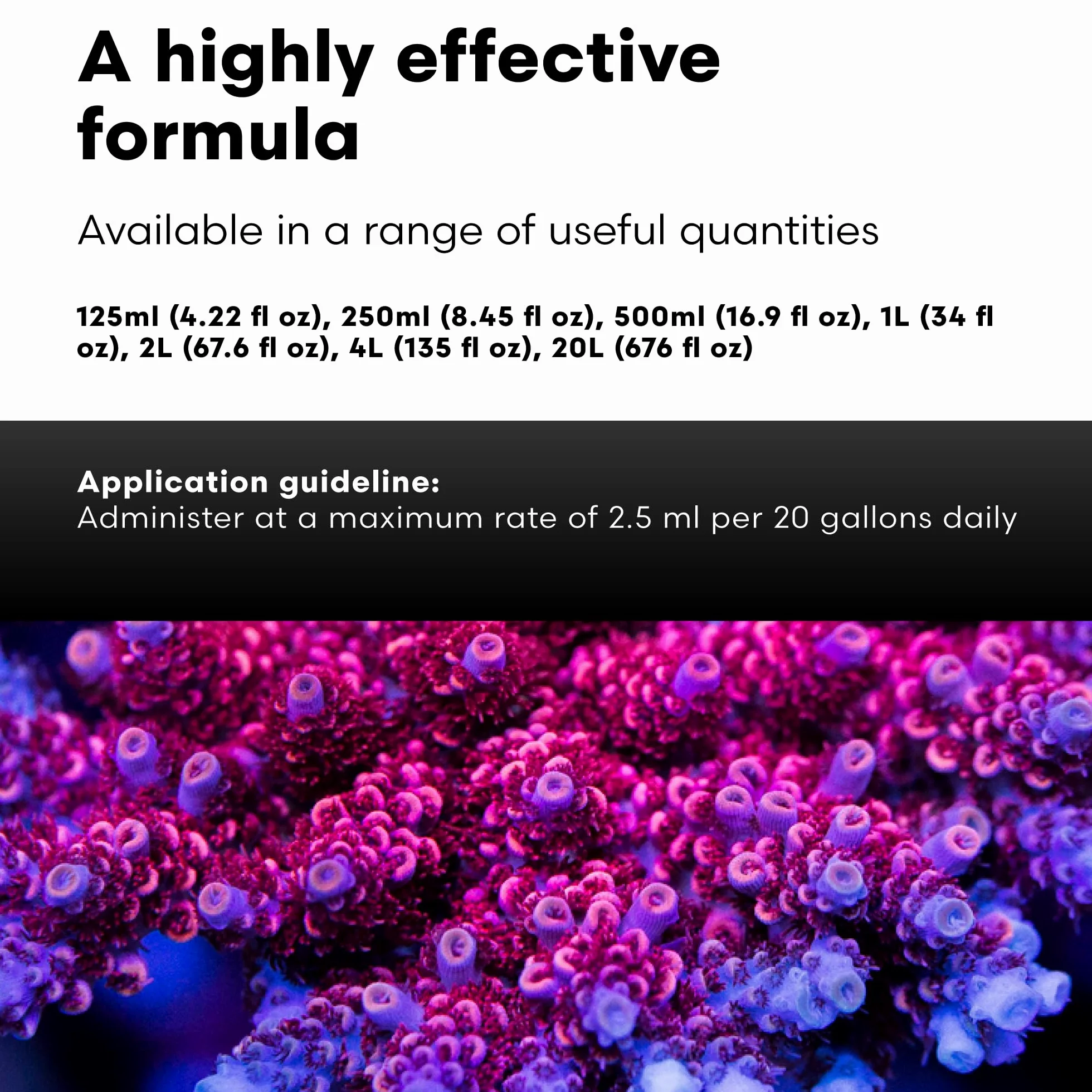 Brightwell Aquatics Phosphat-E - Eliminador de fosfato líquido para acuario de peces marinos y arrecifes, 4 l