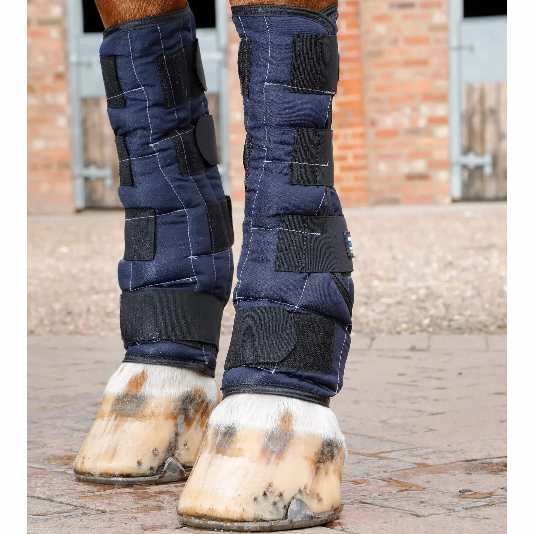 Premier Equine Botas de Agua fría para Caballos
