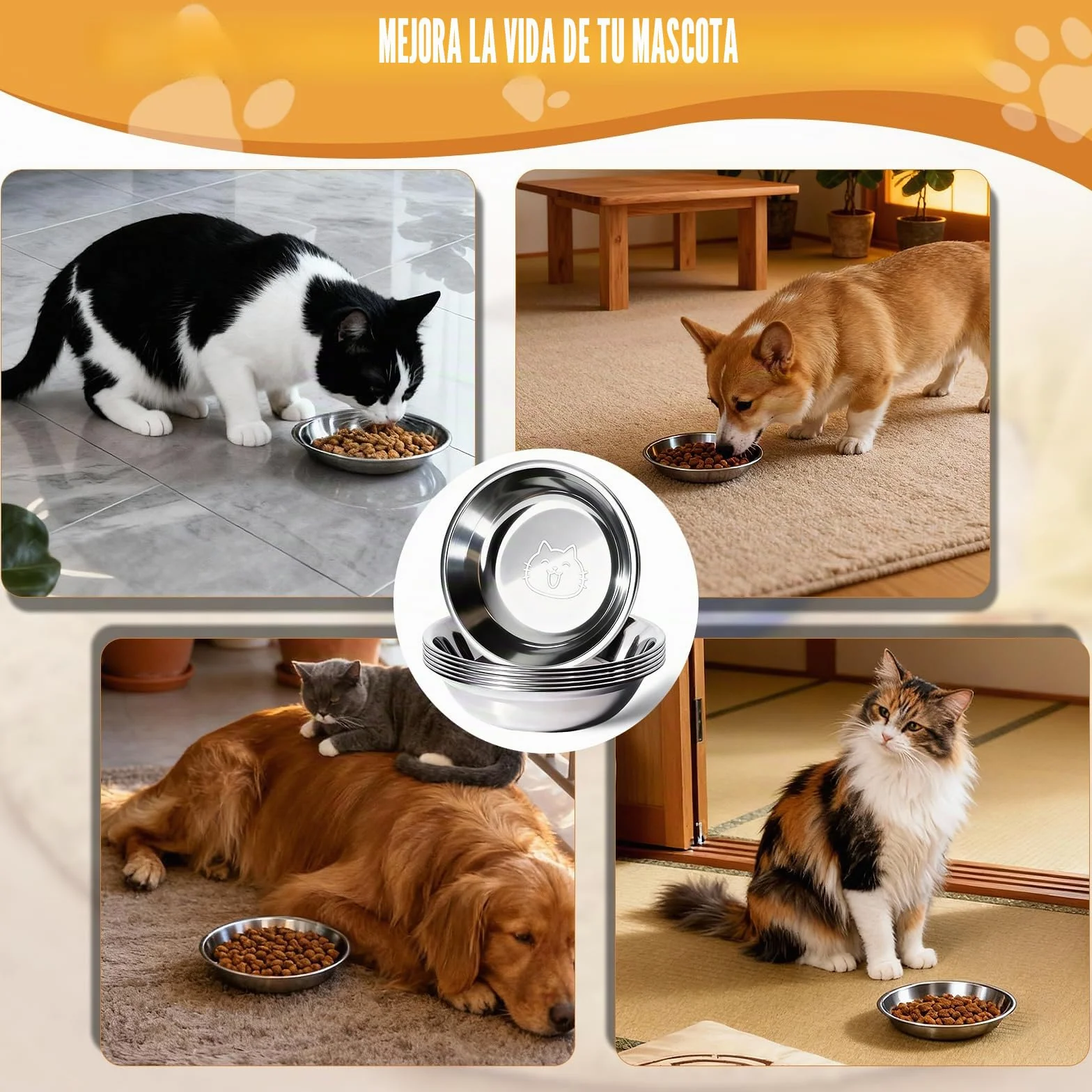 6 Piezas Cuenco para Gato Inoxidable 304, Cuenco Plano para Gatos Aliviar La Fatiga de Los Bigotes, para Alimentación de Cachorros Gatos 14,5 × 3 cm