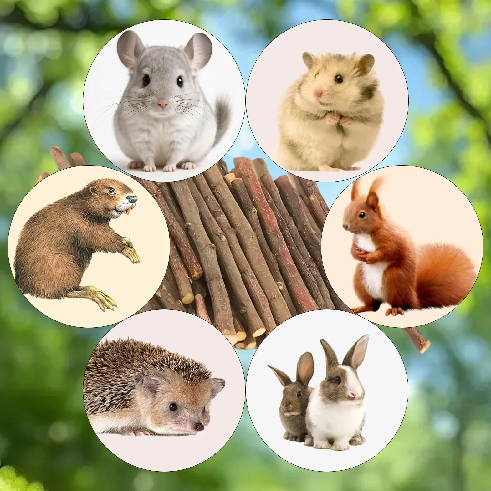 500g Palo de Manzano Natural 300pcs, Palo de dentición para Mascotas, Palo de Manzano Juguete para Conejo Hamster cobaya Chinchilla (500g)