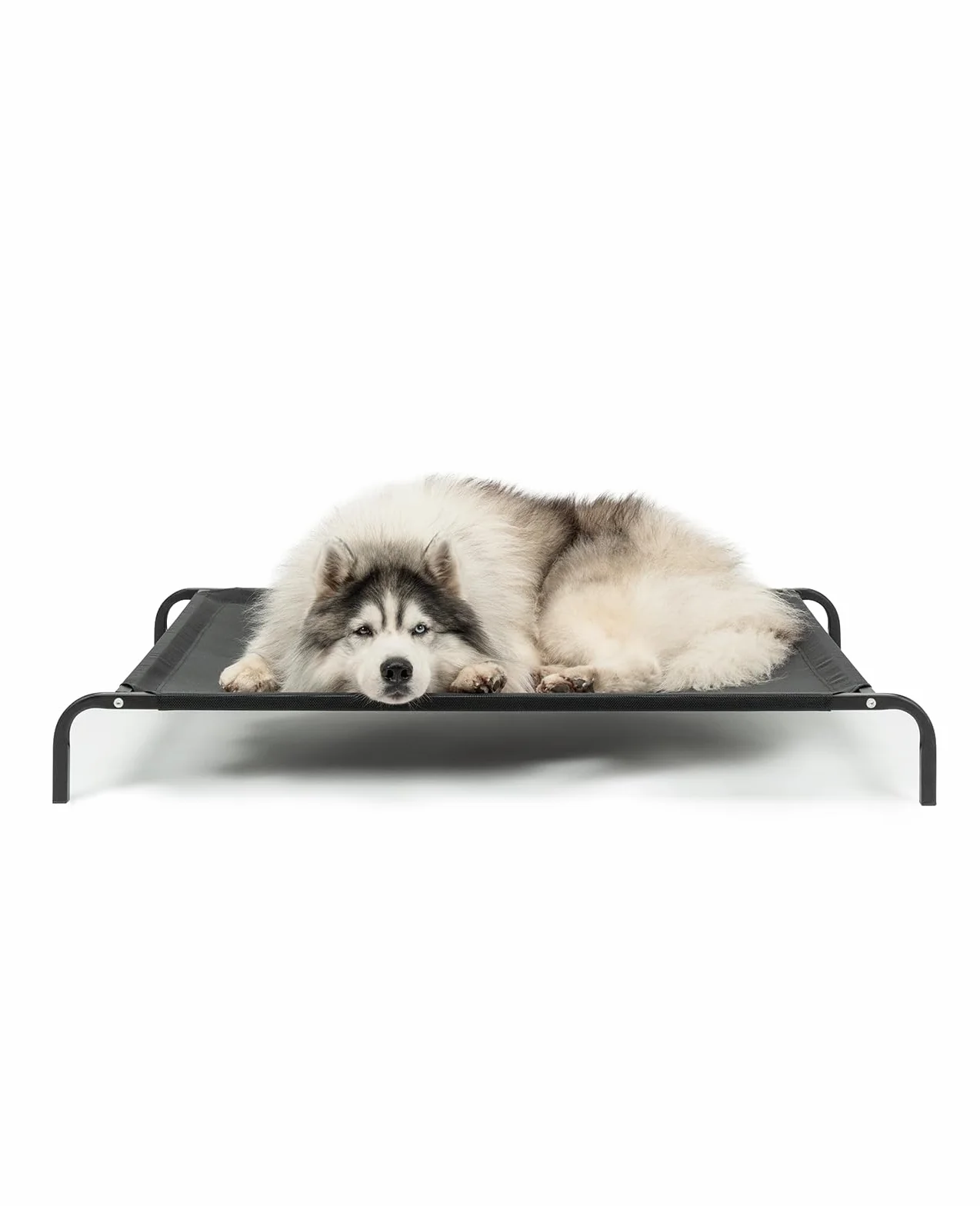 lionto Cama elevada para Perros Tejido en Textilene, (XL) 117x85 cm Negro