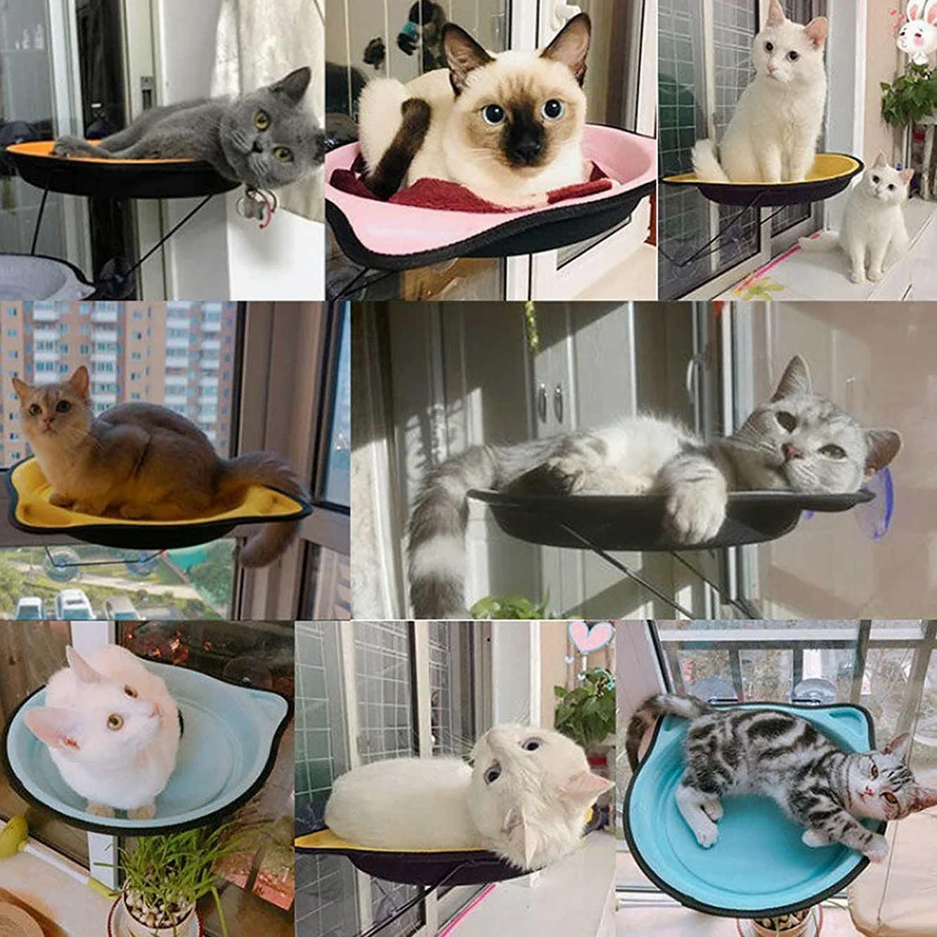 Hamaca para Gato Hamaca Ventana de Gato Cama montada en la Ventana para Gatos Asiento de Sol para Ventana Hamaca para Percha Cojín Cama Estante Colgante Asiento Hamaca para Tomar el Sol Taza de Succi