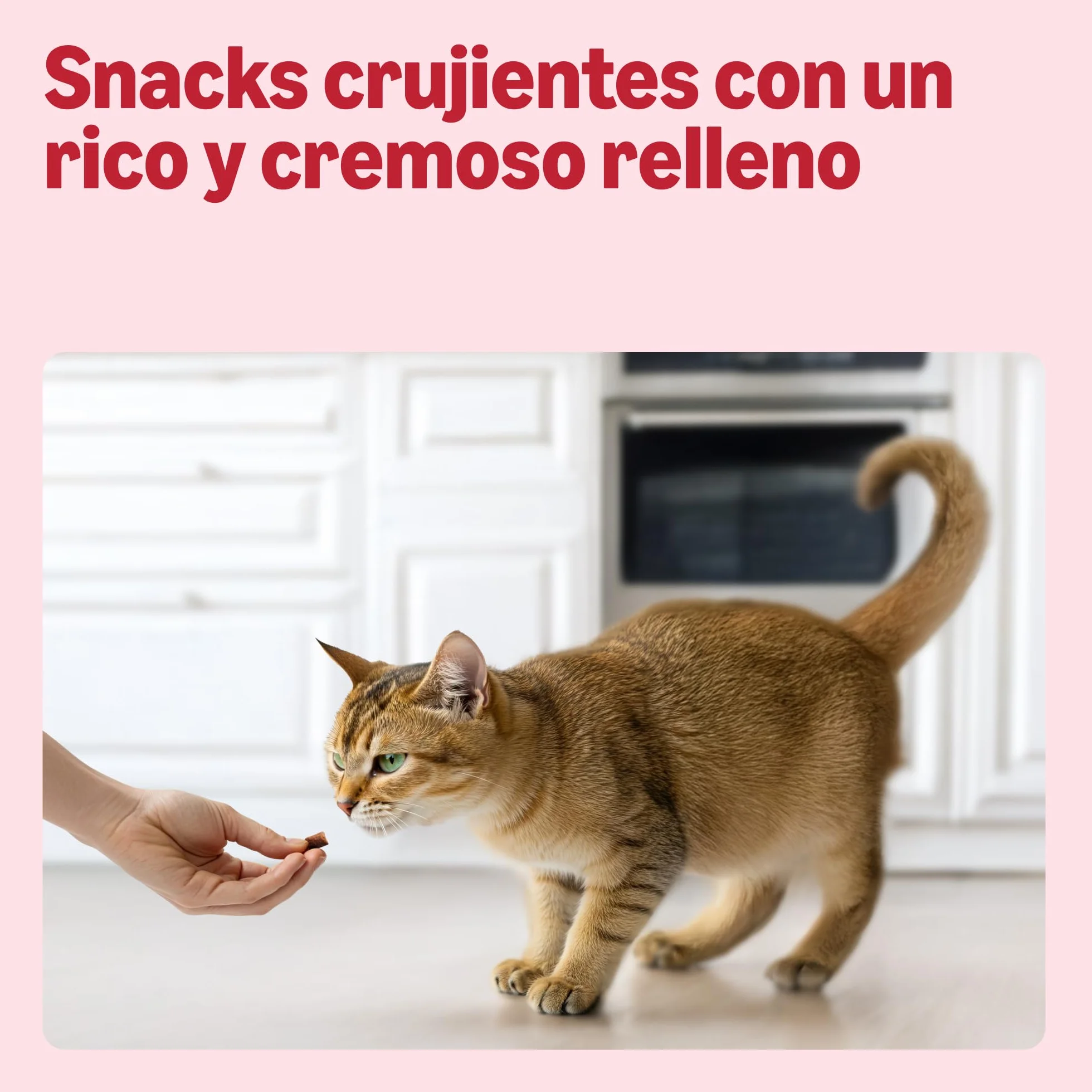 by Amazon - Chucherías para gatos - Bocados crujientes y cremosos, combaten bolas de pelo, con ternera y malta, 70 g