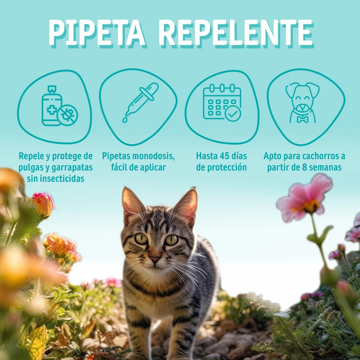 DIXIE - Pipetas Repelentes Gatos - 4 uds x 1 ml - Pipetas Repelentes - 4 Meses de Protección - contra Piojos, Mosquitos, Pulgas y Garrapatas - sin Insecticidas - Todos los Tamaños de Gatos