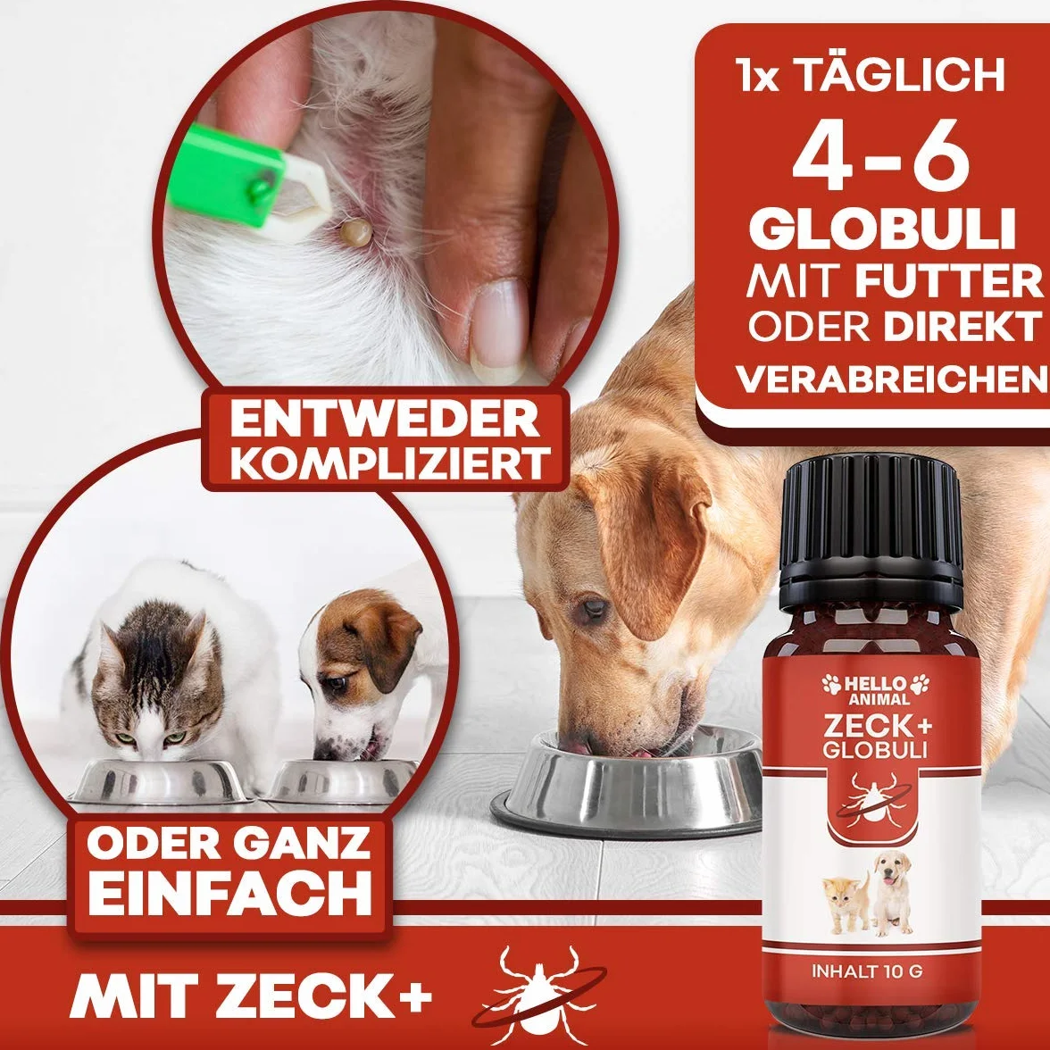 Hello Animal ZECK+ - Píldoras de 10 g, protección contra garrapatas, gato y perro, apoyo vegetal para el tiempo de las garrapatas, dosificación fácil, alimento complementario natural para animales